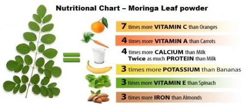 Edible Parts of Moringa
