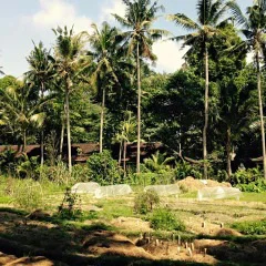 Garden Planner Needed