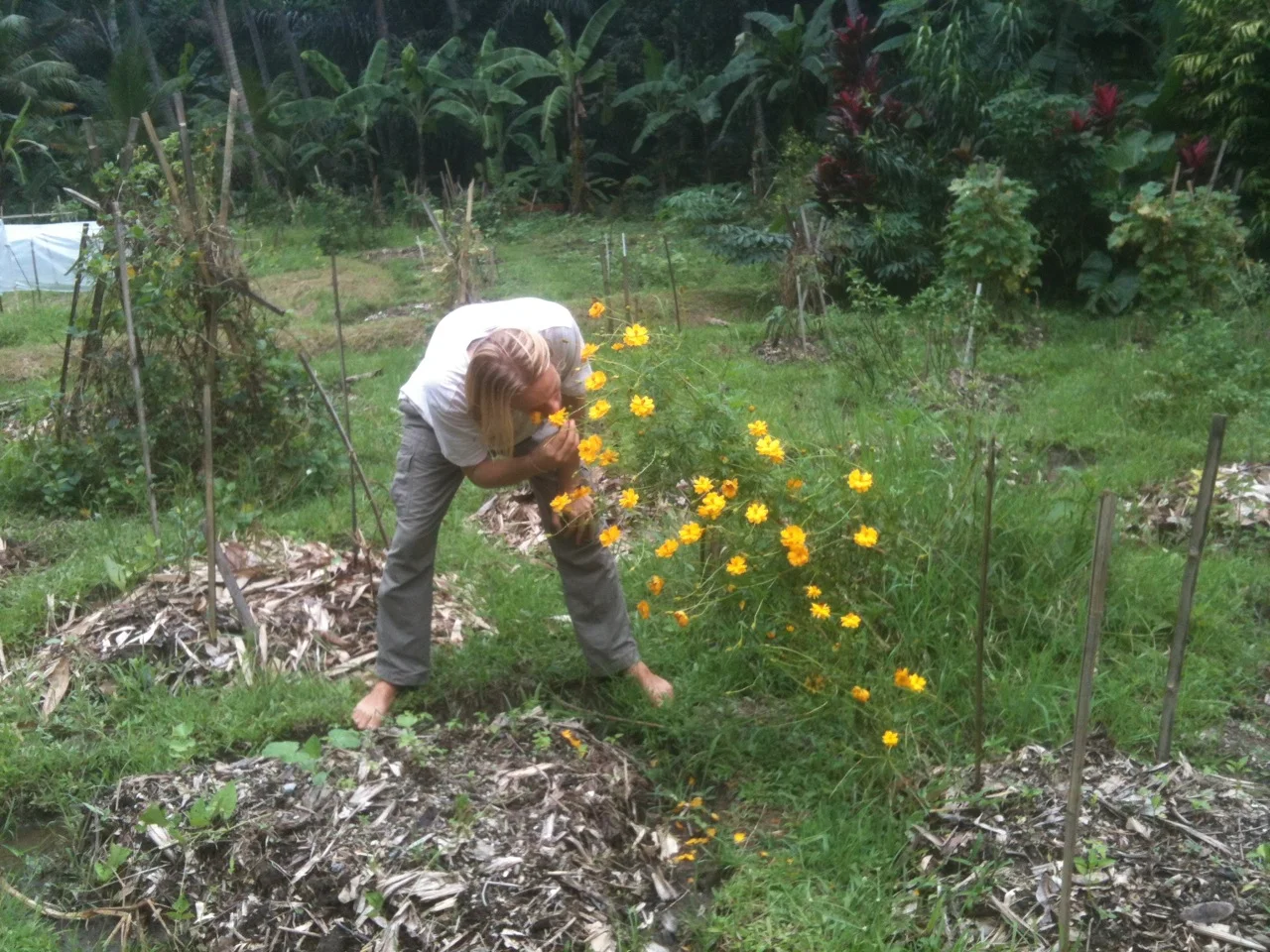 A Permaculture Design Course with a transpersonal approach