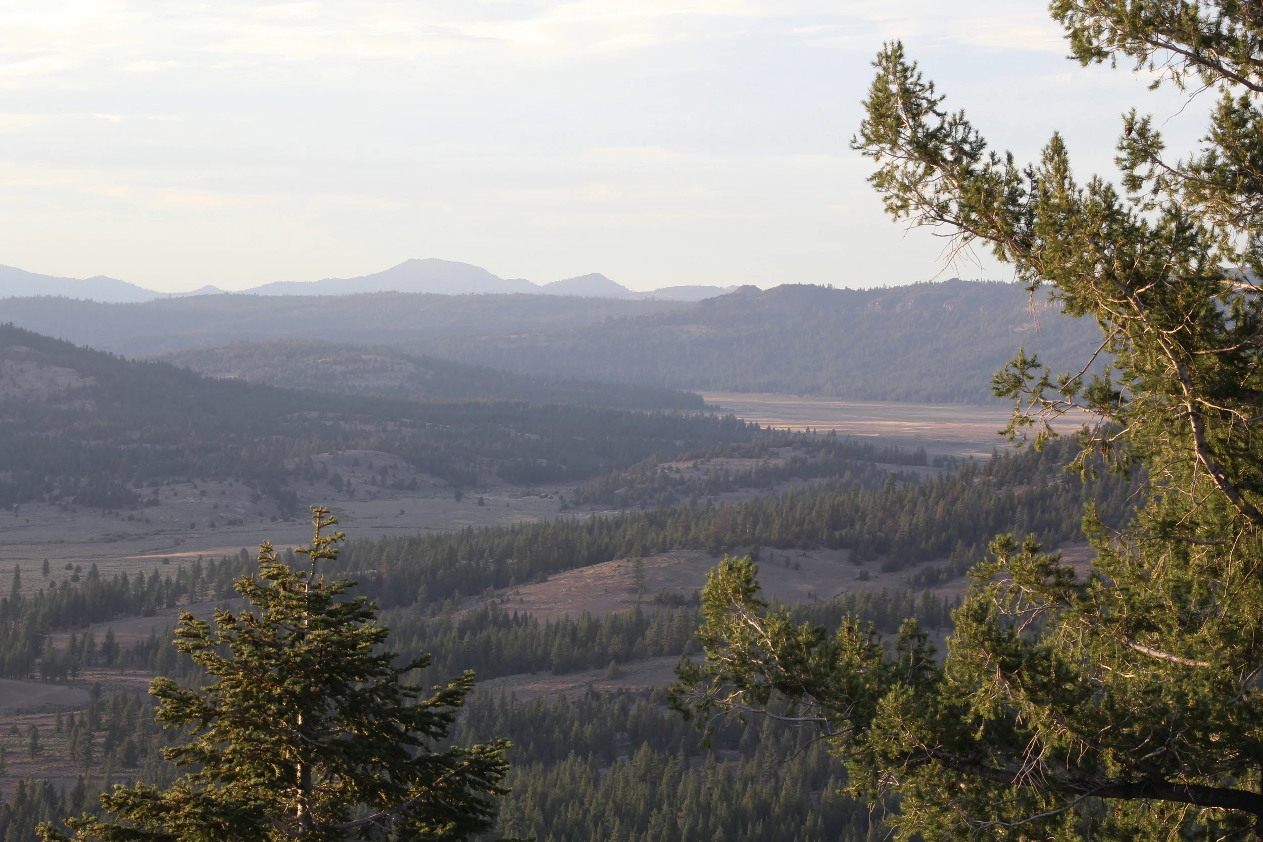 photography provided by George Goodwin III