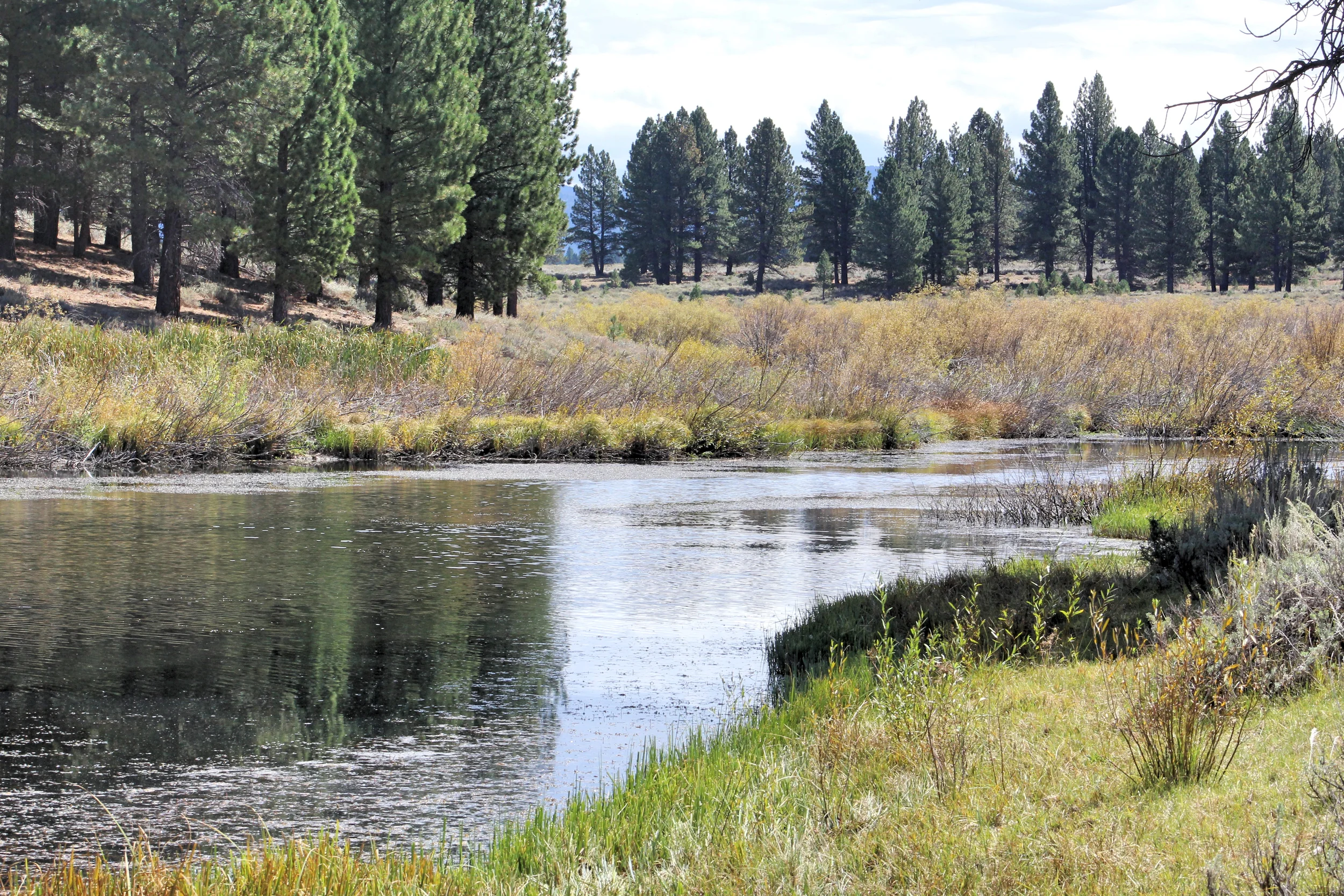 photography provided by George Goodwin III