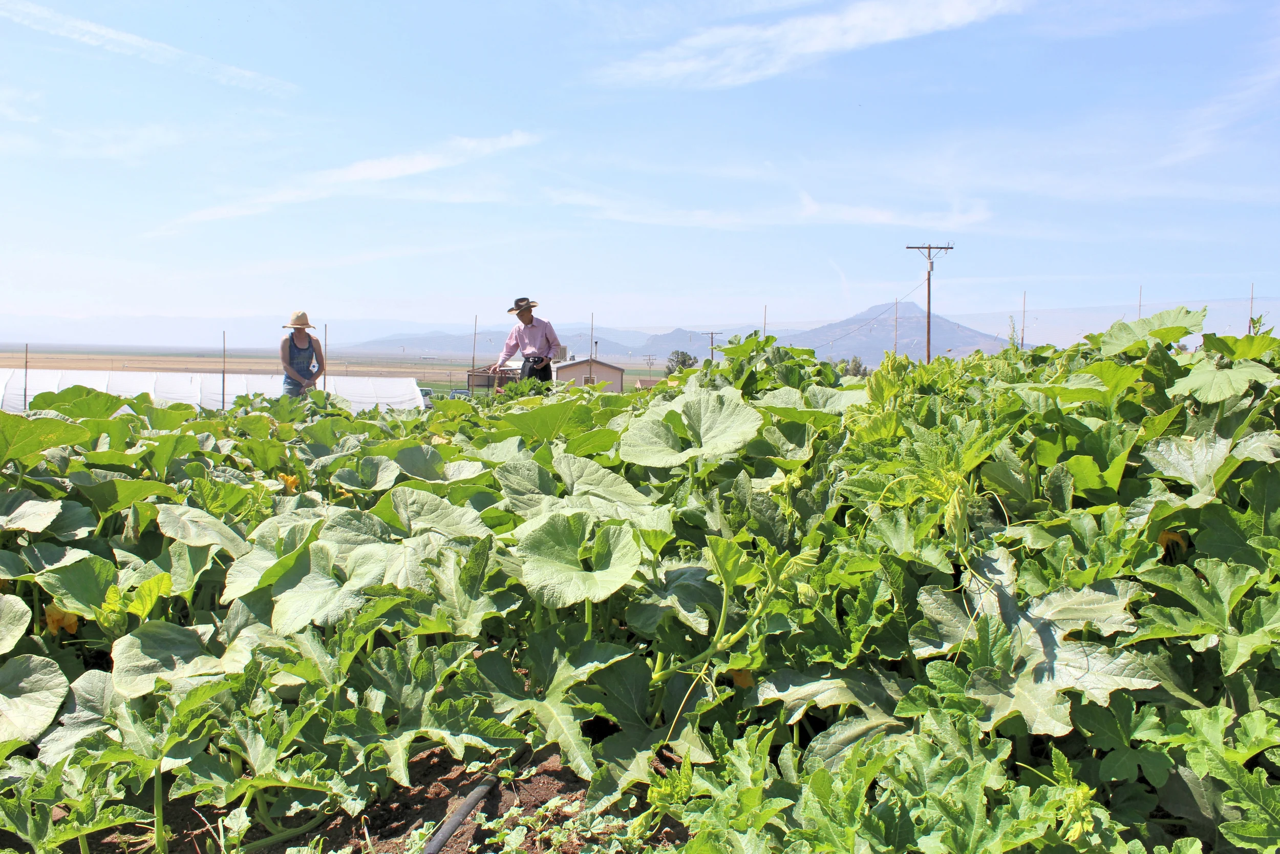 photography provided by George Goodwin III