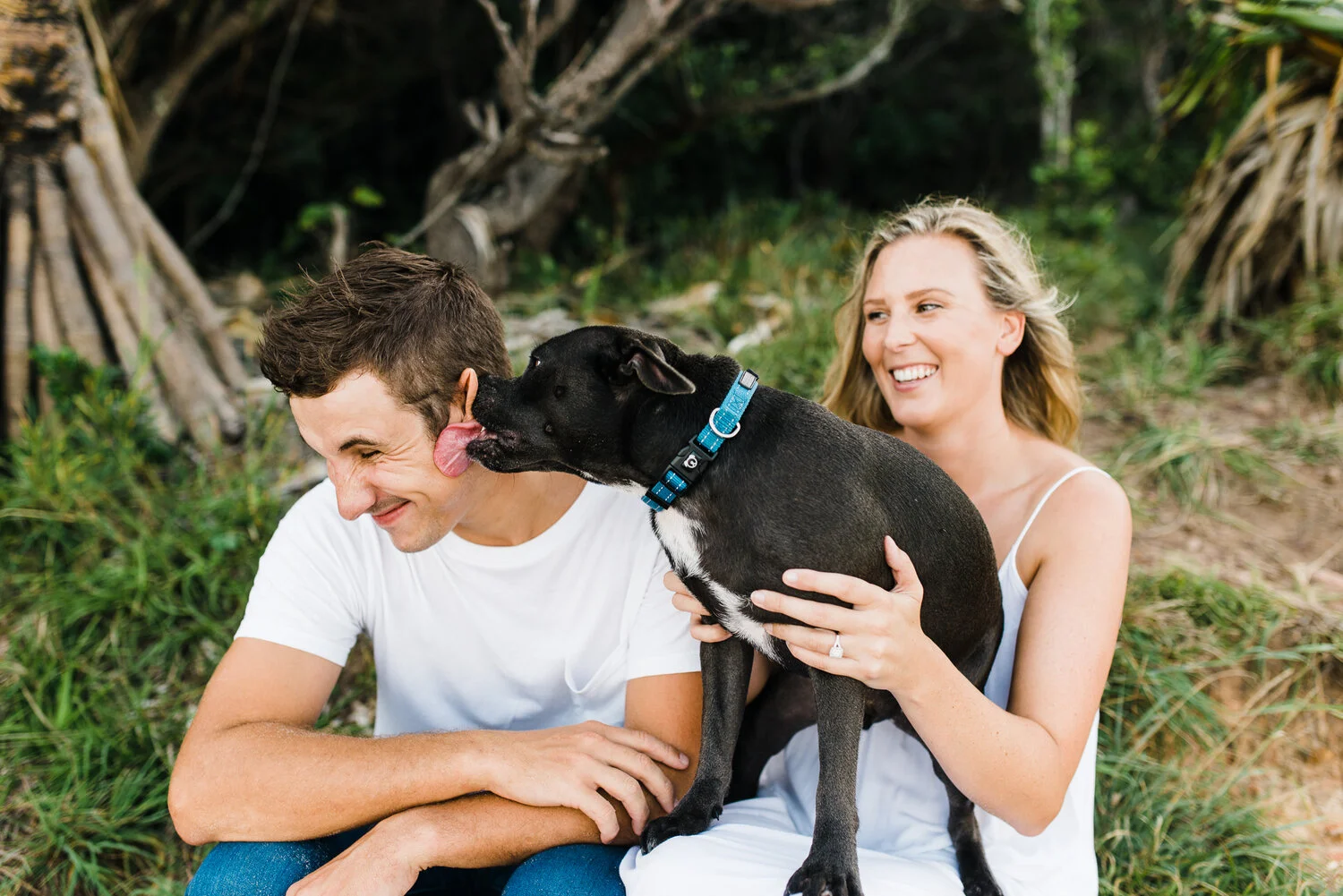 Jess, Joe and Winston having a face-licking good time during their engagement session at Point Arkwright on the Sunshine Coast.