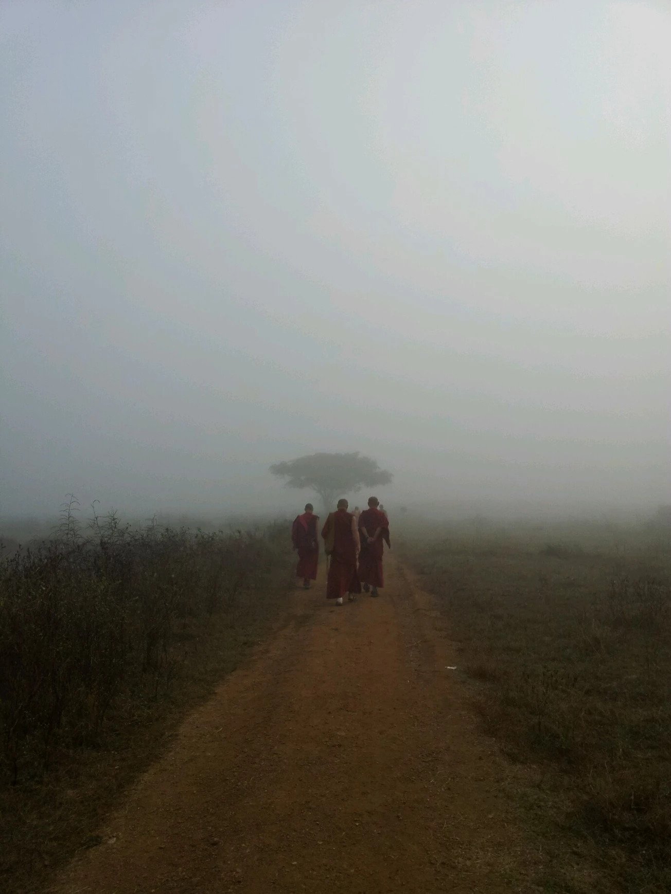 Photo credit: Sonny Huh