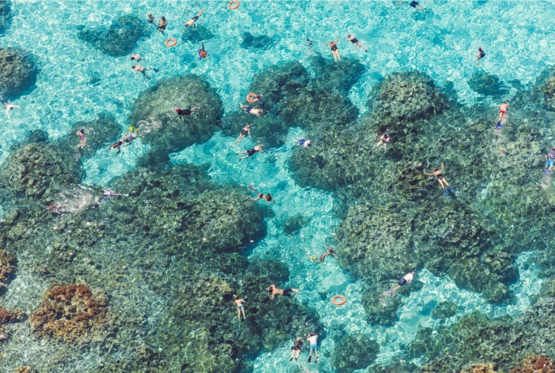 ezgif.com-gif-maker (11).jpg