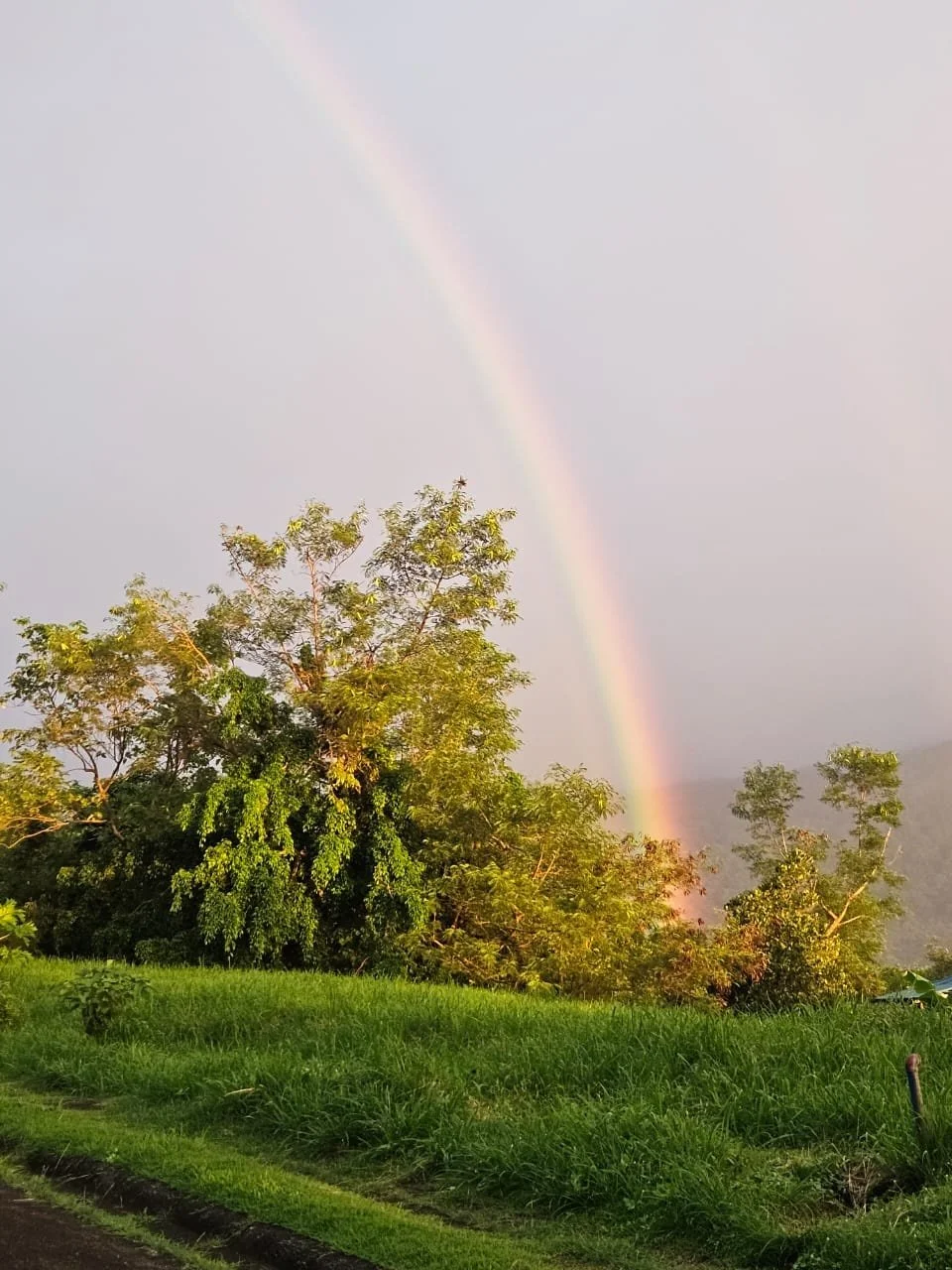 Qigong Self Healing Meditation                      