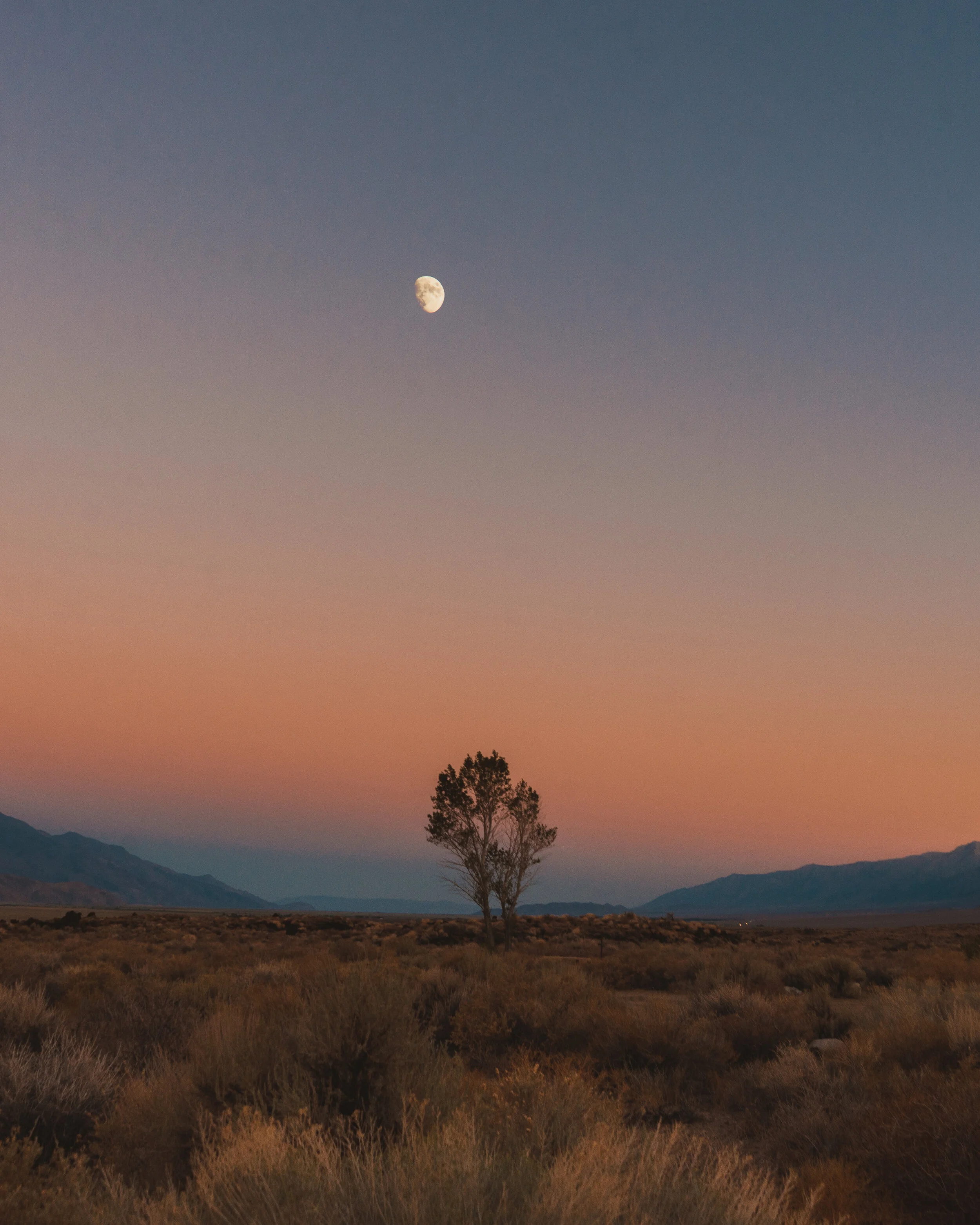 Independence, CA (2020)