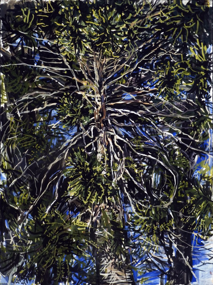 Bunya 2 , 2011, gauche on rag paper