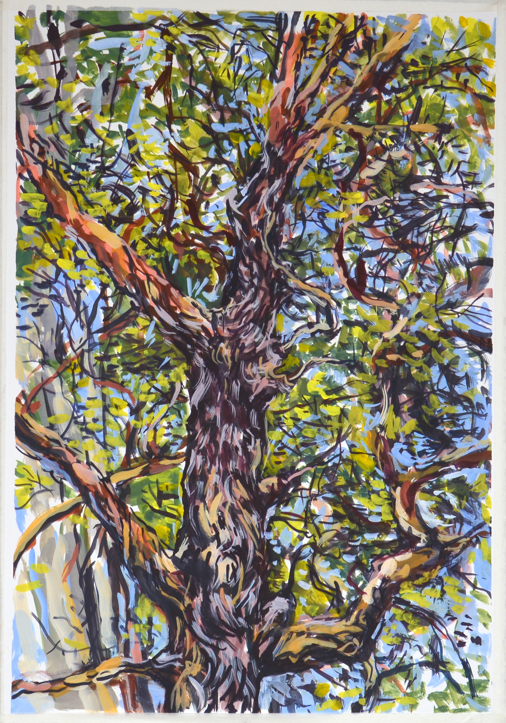 Brush Box , 2014, gouache on paper