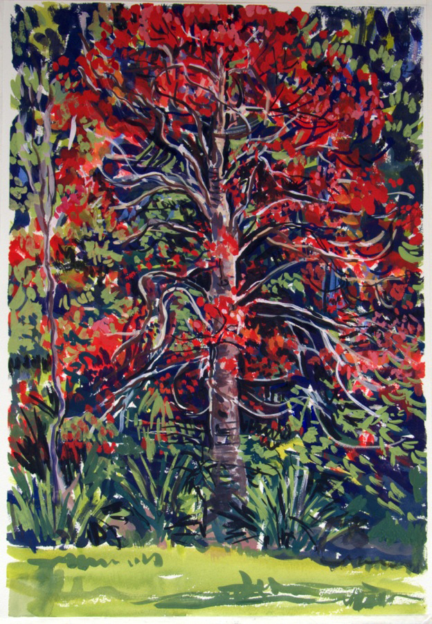 Flame Tree, 2013, gouache on paper