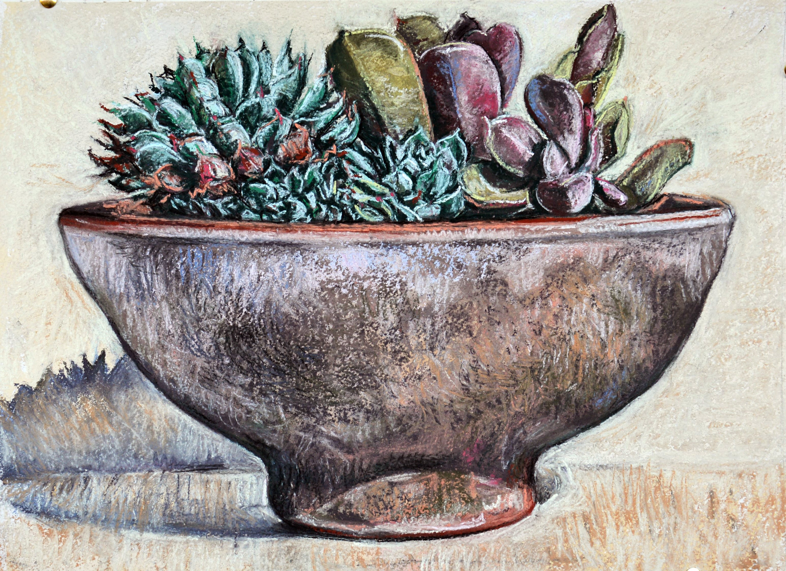 Succulent bowl, 2016, pastel on rag paper, 48cm c 35cm