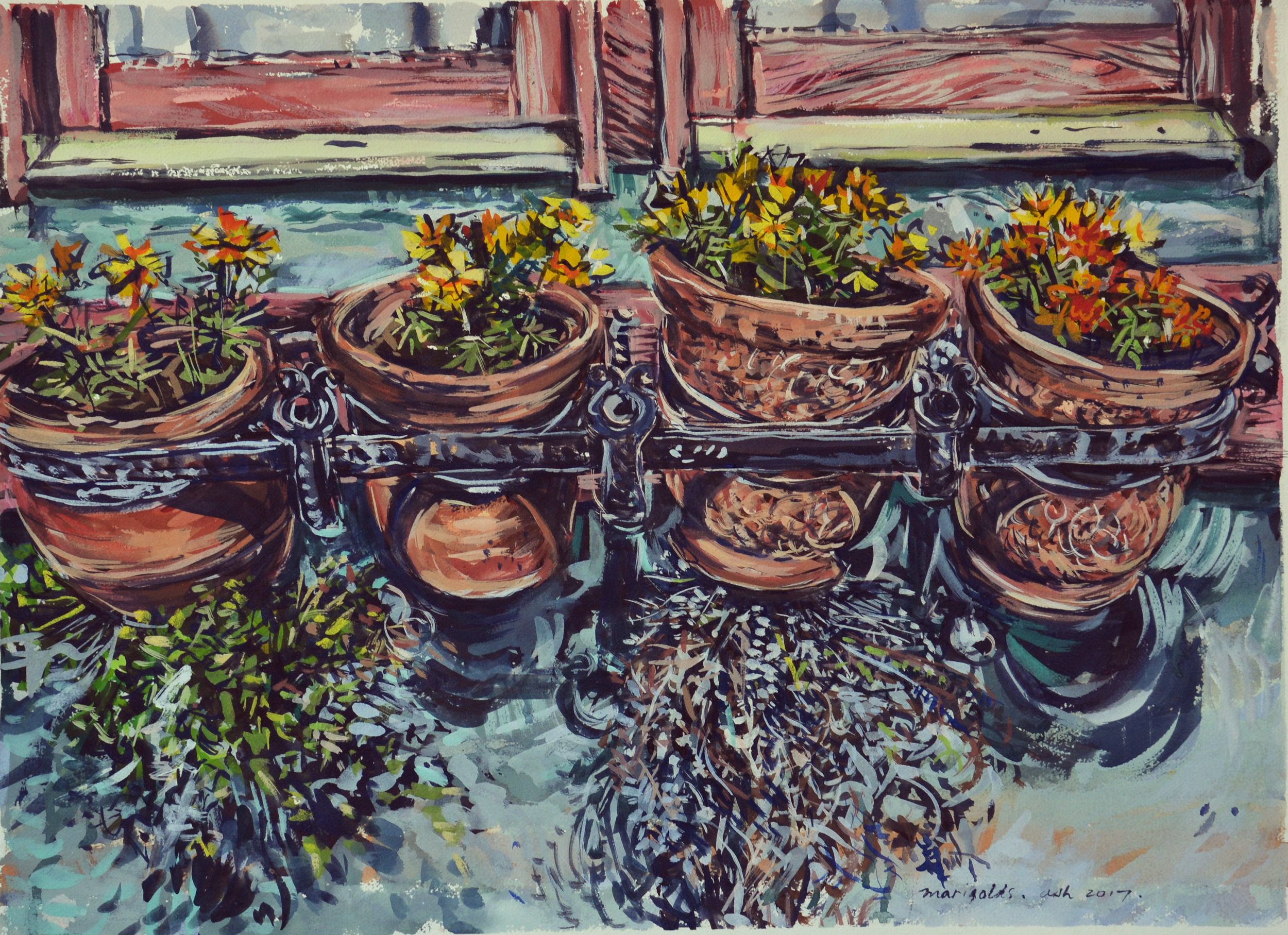 Marigold window box , 2017, gouache on rag paper, 46cm x 75cm