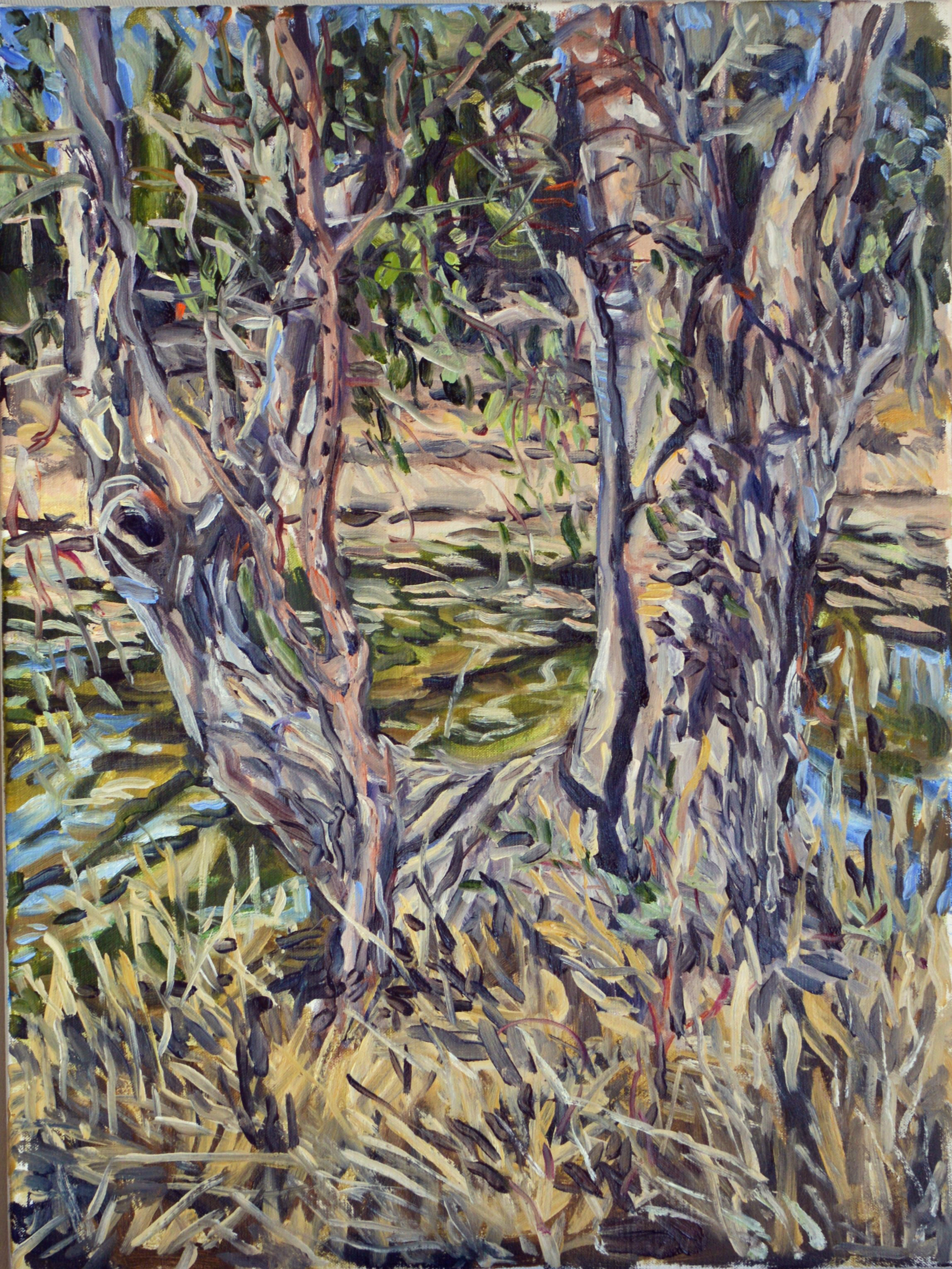 Brigalow Creek Shadows 2018 Oil on Belgian linen 60 x 45cm