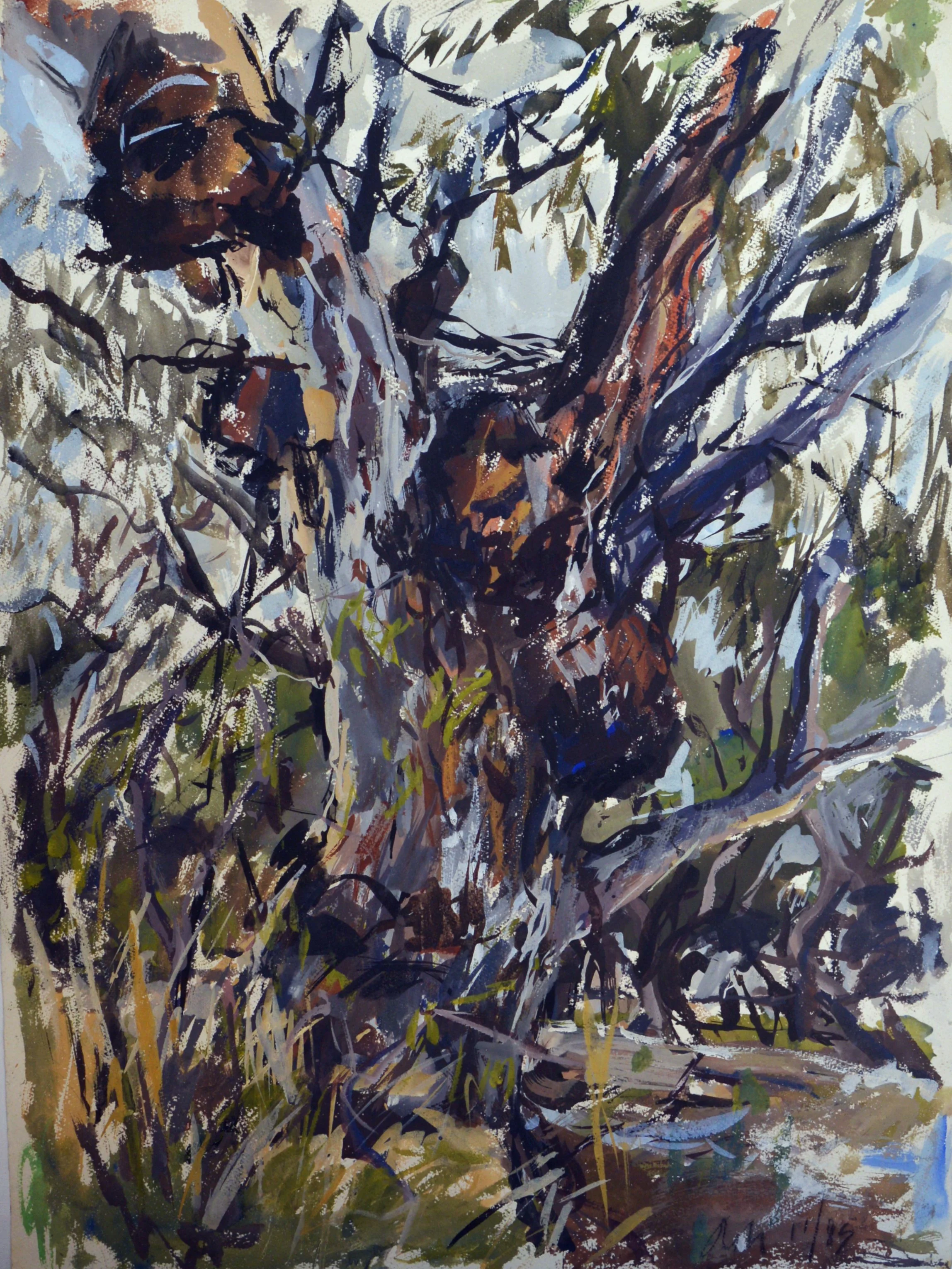 River Red Gum (My Mother's Tree) 1985 gouache on rag paper 76 x 56cm