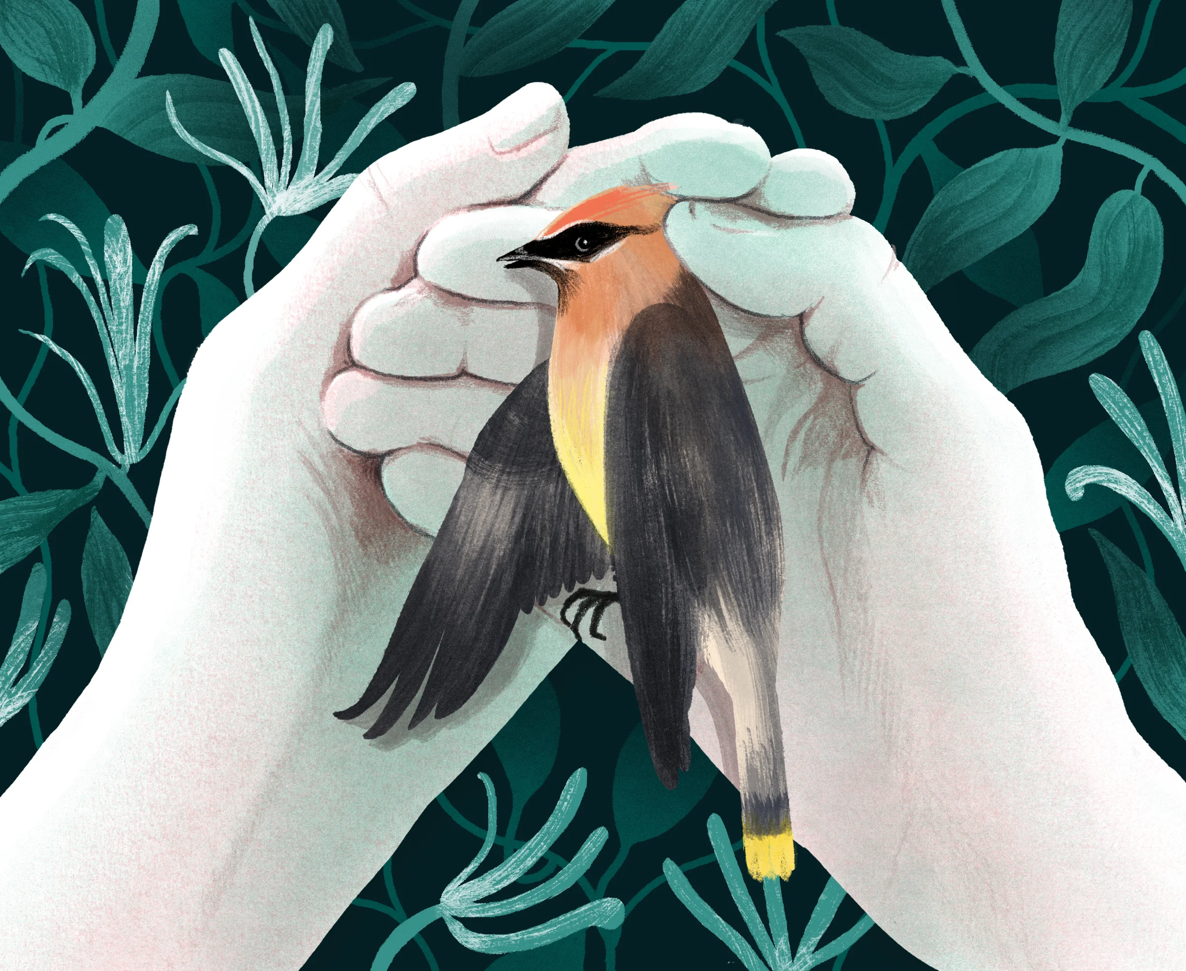 NYT Sunday Review