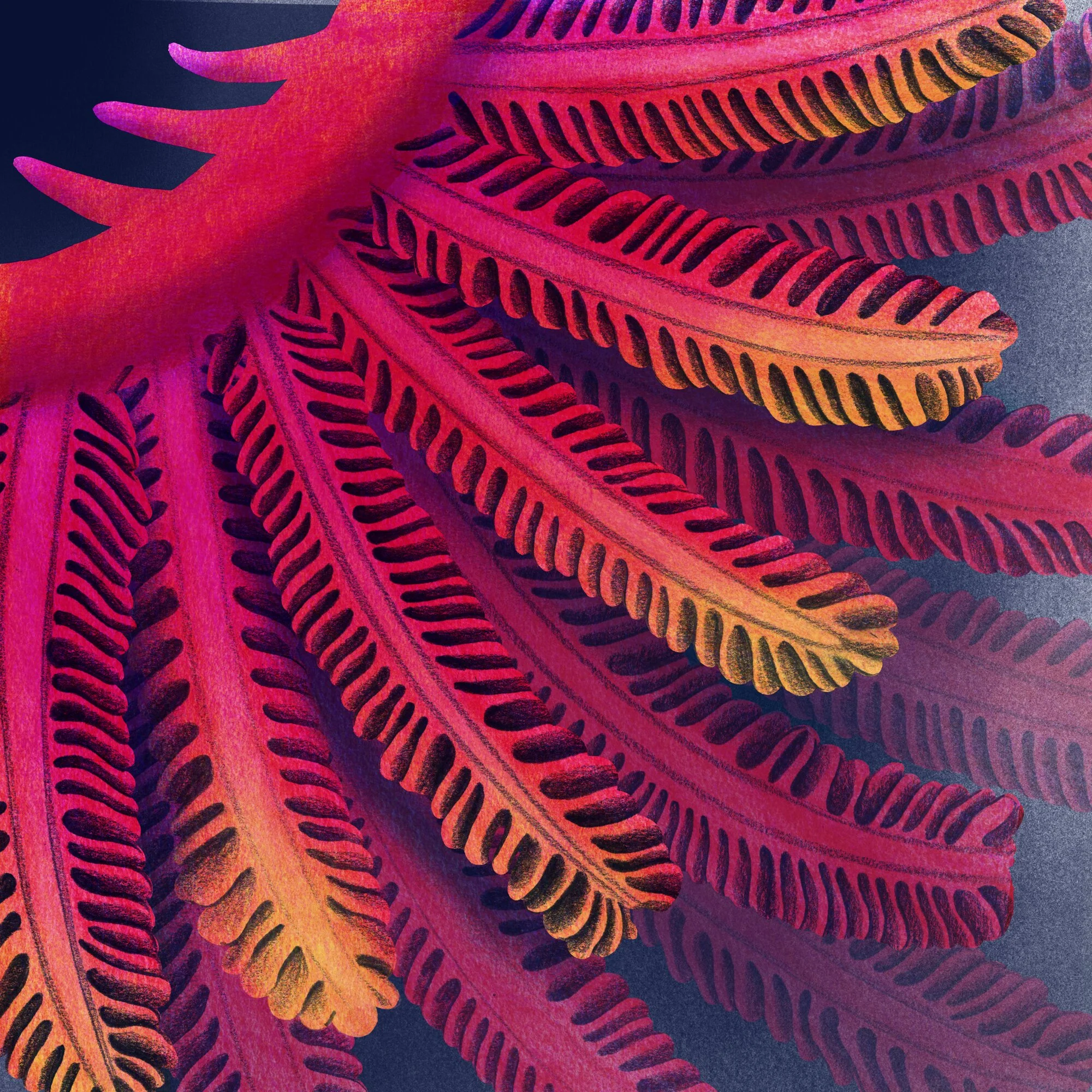 fish gills.jpg