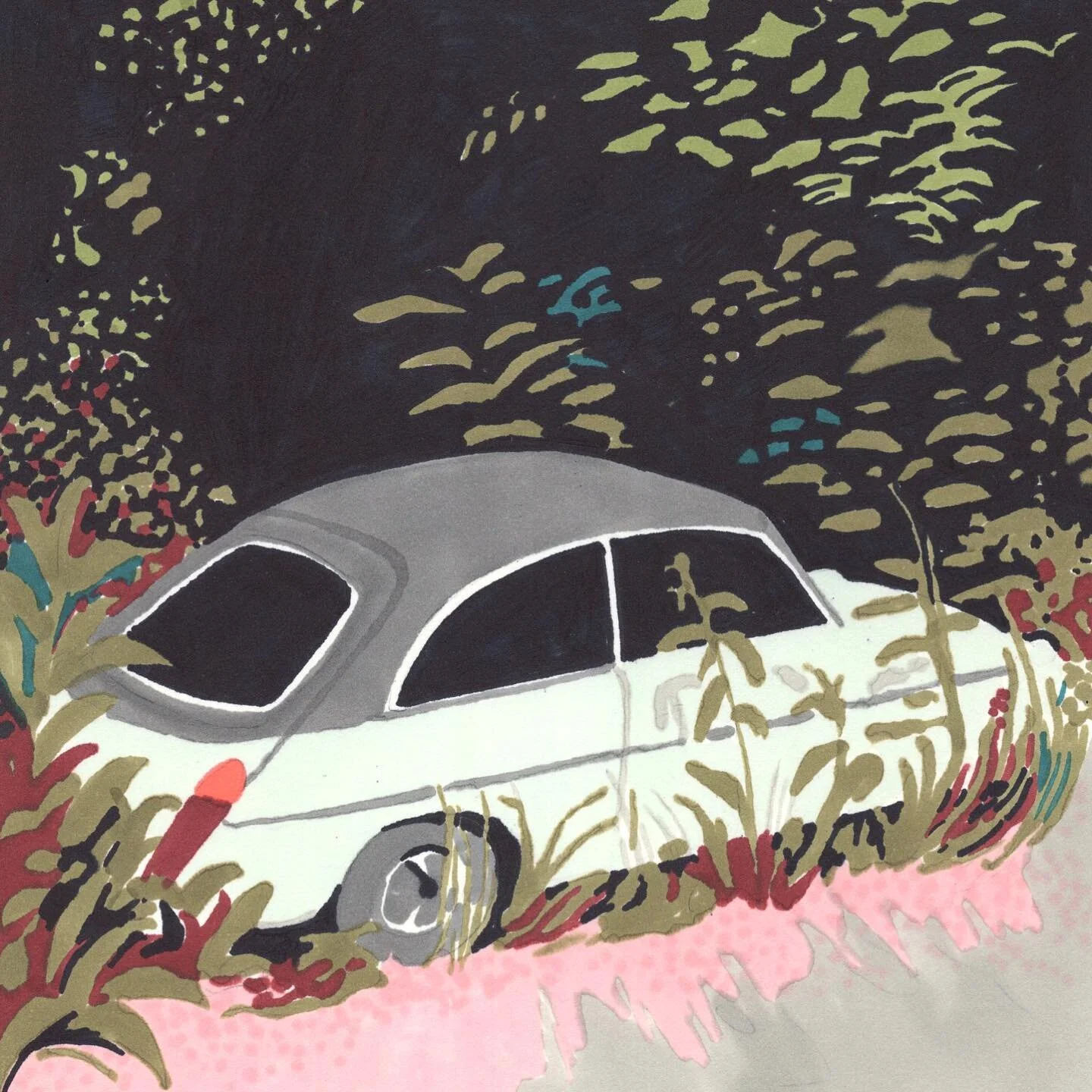 Found in a hedge a few weeks back.