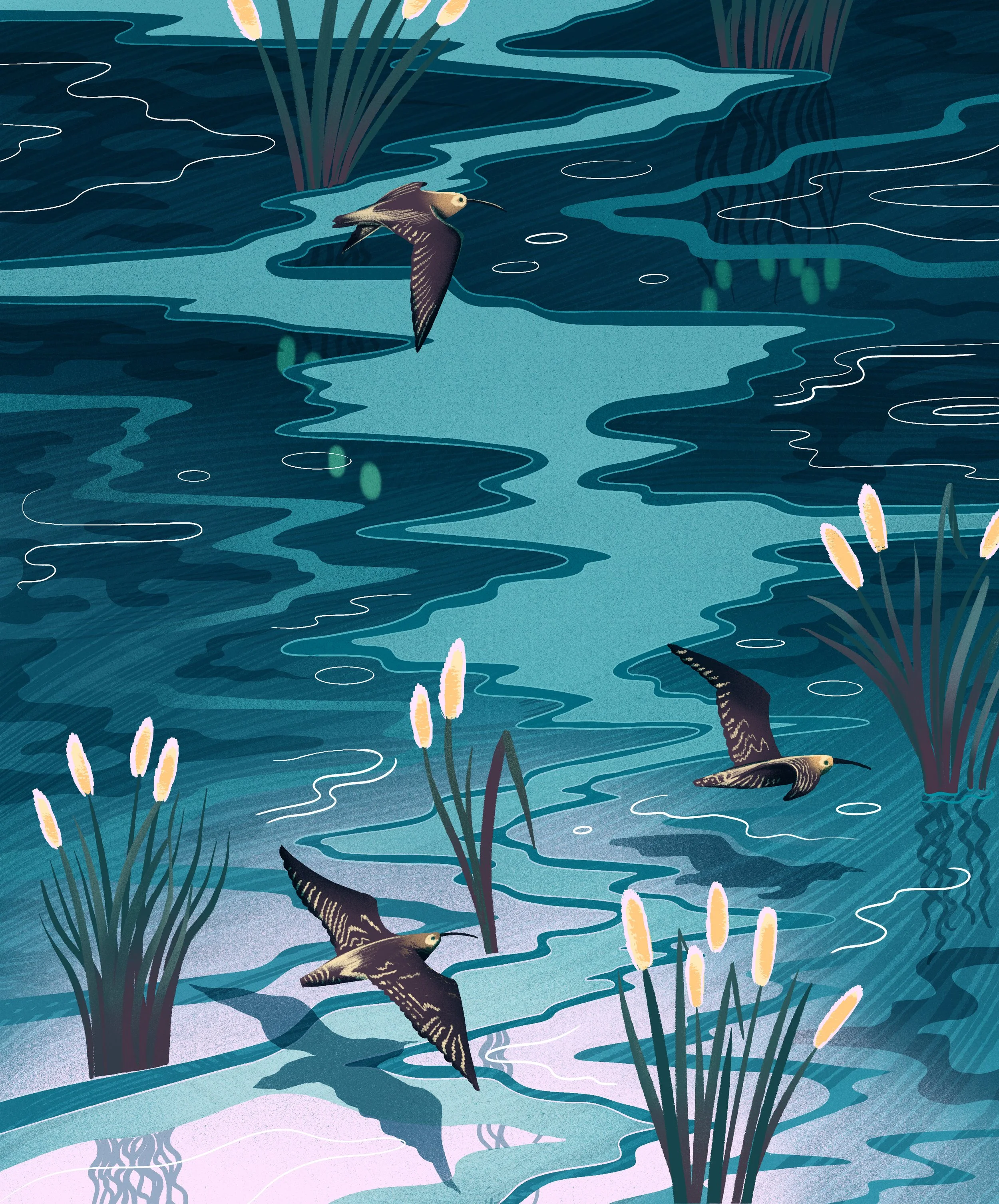 Great Expectations final 2.jpg