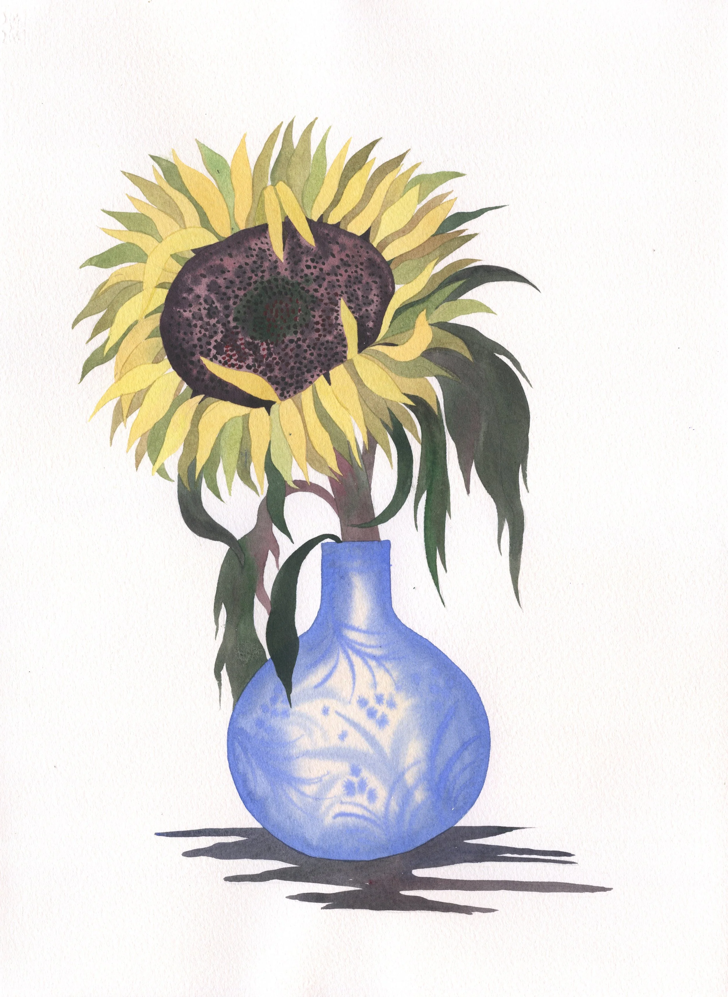 sunflower study copy.jpg