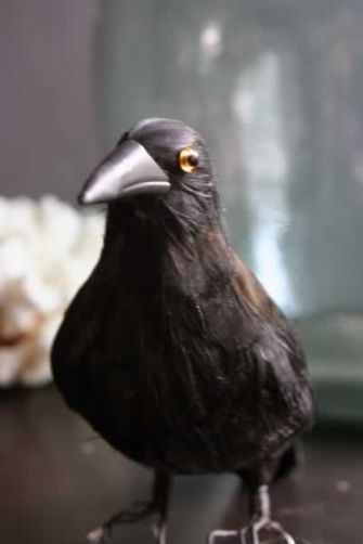 Mortimer the black crow £14 www.rockettstgeorge.co.uk