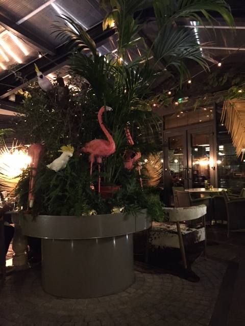 Flamingos a go-go at Hoxton Grill