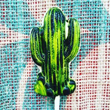 White chocolate cactus lollies £2.95 Trouva