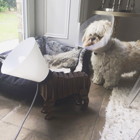 "I know the drill... #housecandy"