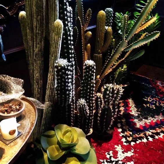 The Modern Day of The Triffids - When Abigail Ahern’s succulents took over the interiors world.