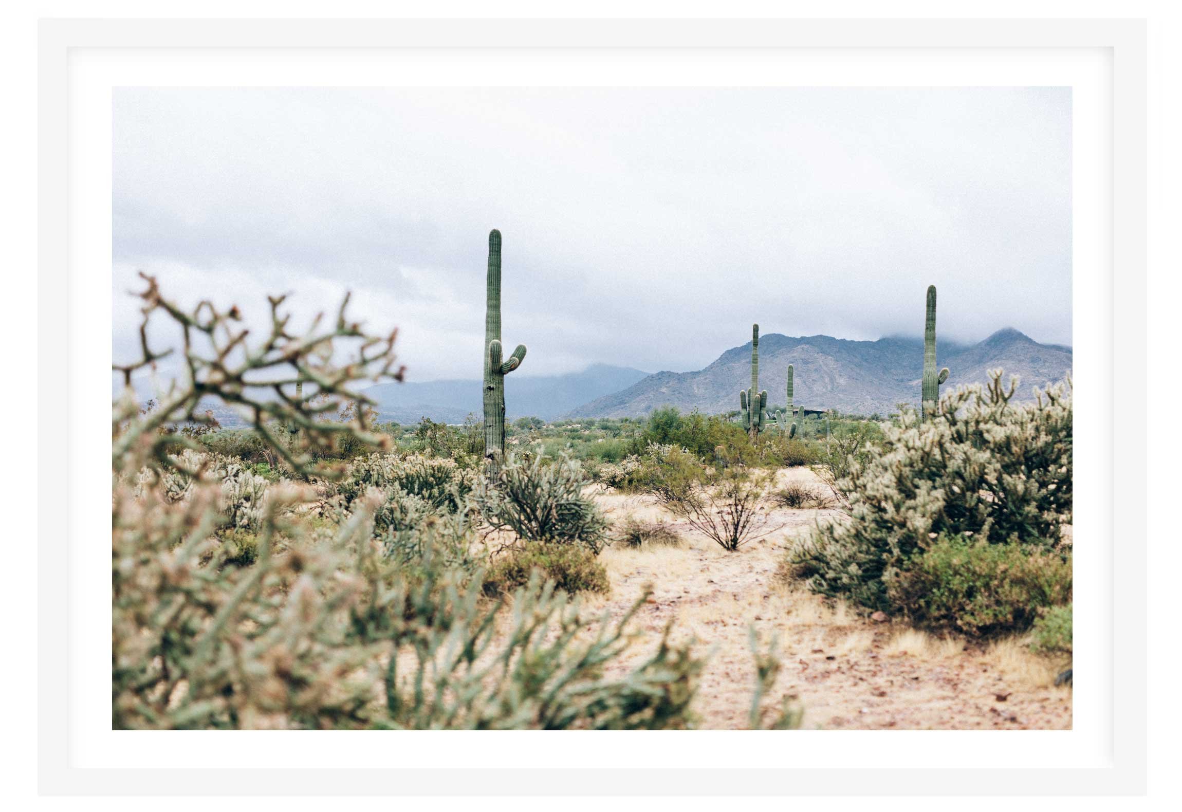 karl-mackie-Bradshaw-Mountains-print-white-frame.jpg