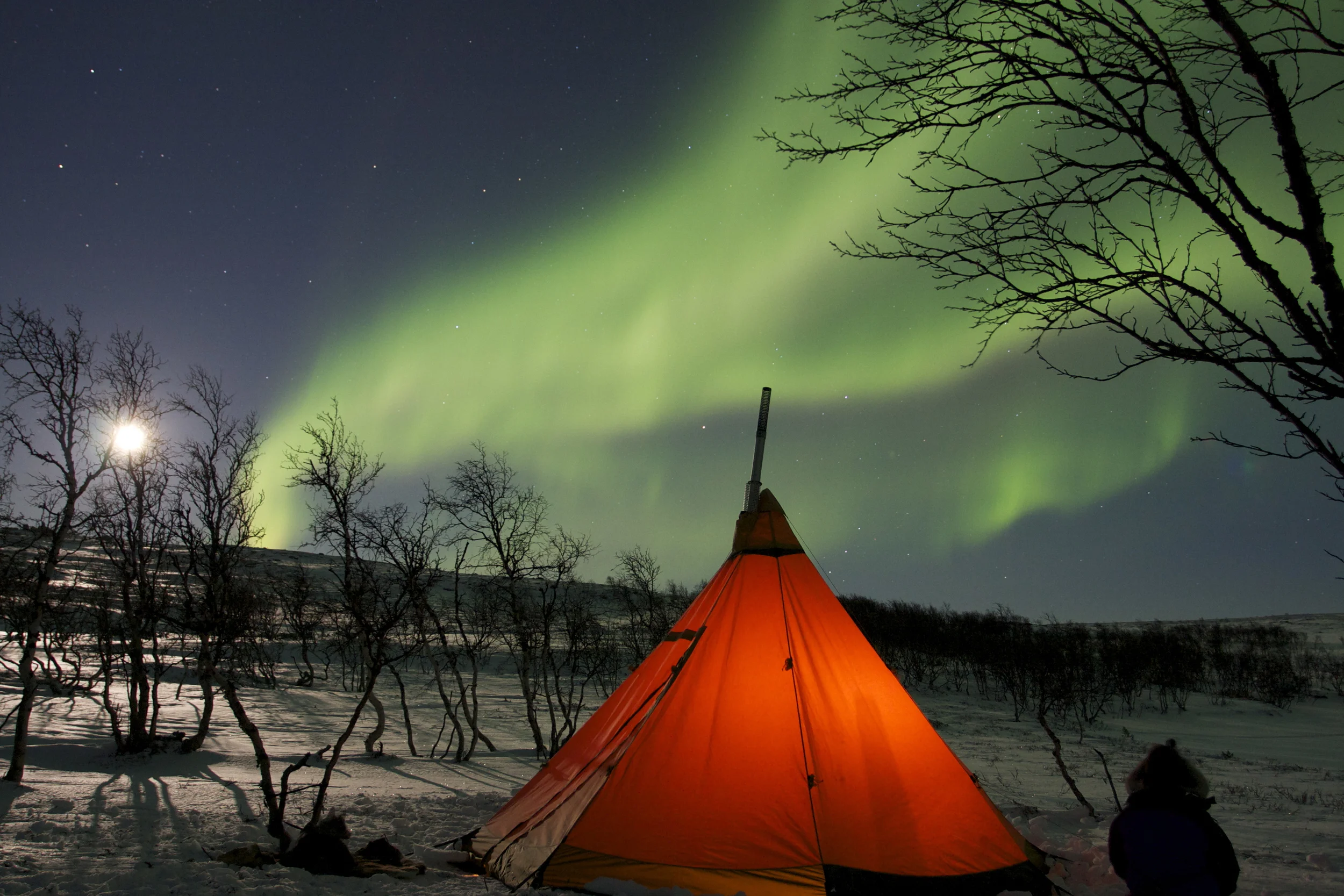 Artikkel om turisters forhold til Nord-Norge om vinteren