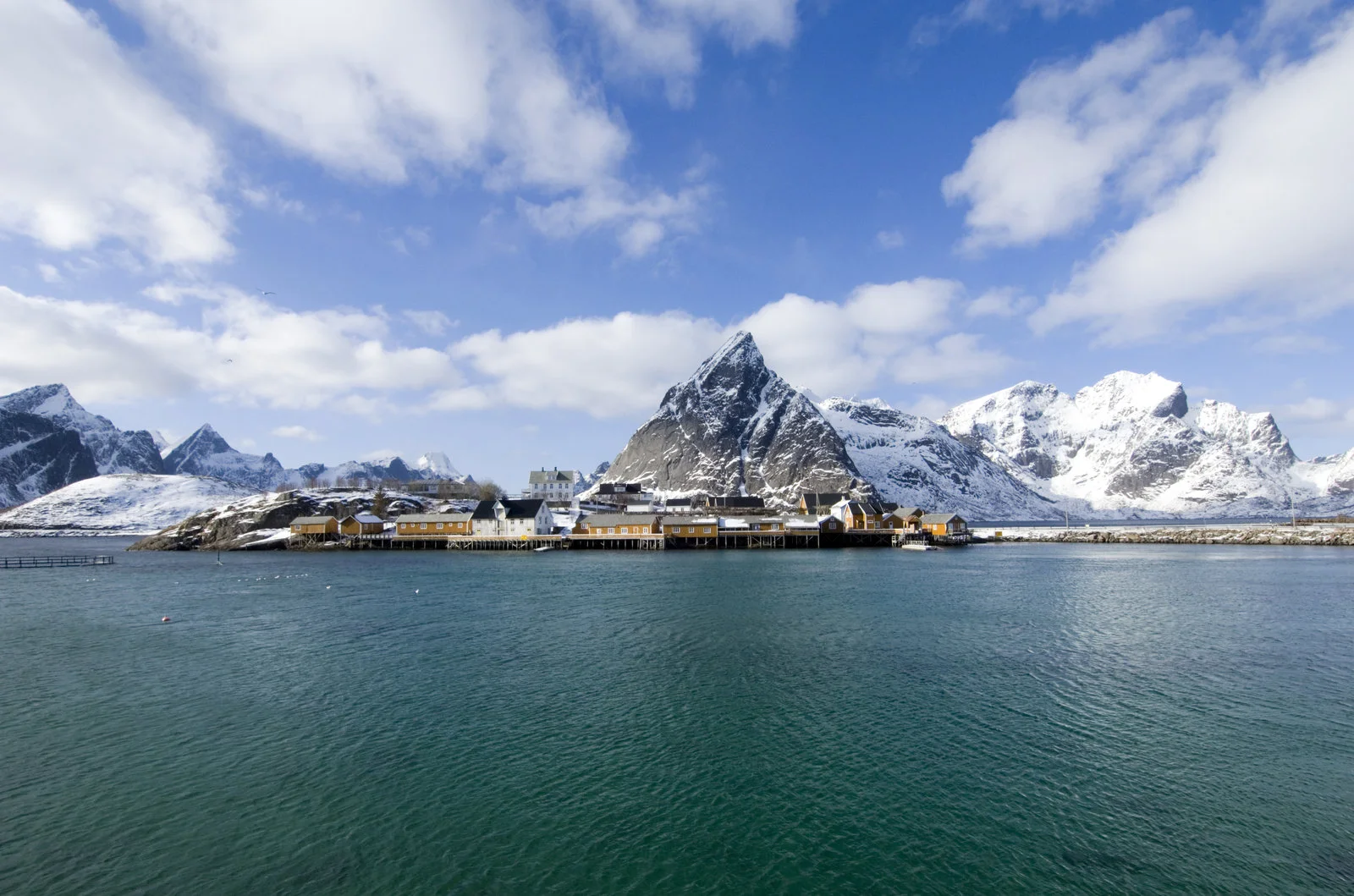 Lønnsomhet i Nordnorske aktivitetsturismebedrifter