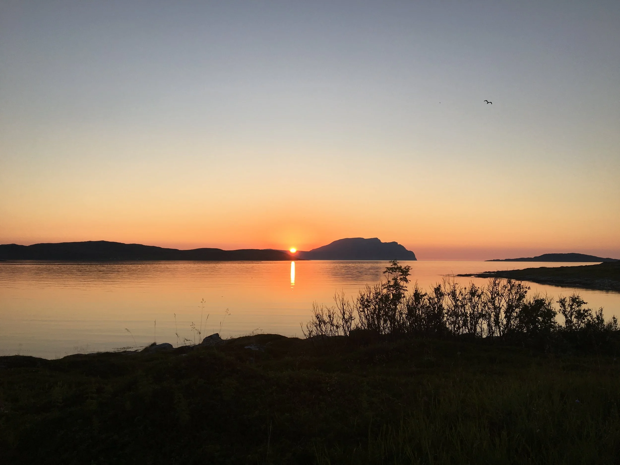 Ny handlingsplan for Arctic-365