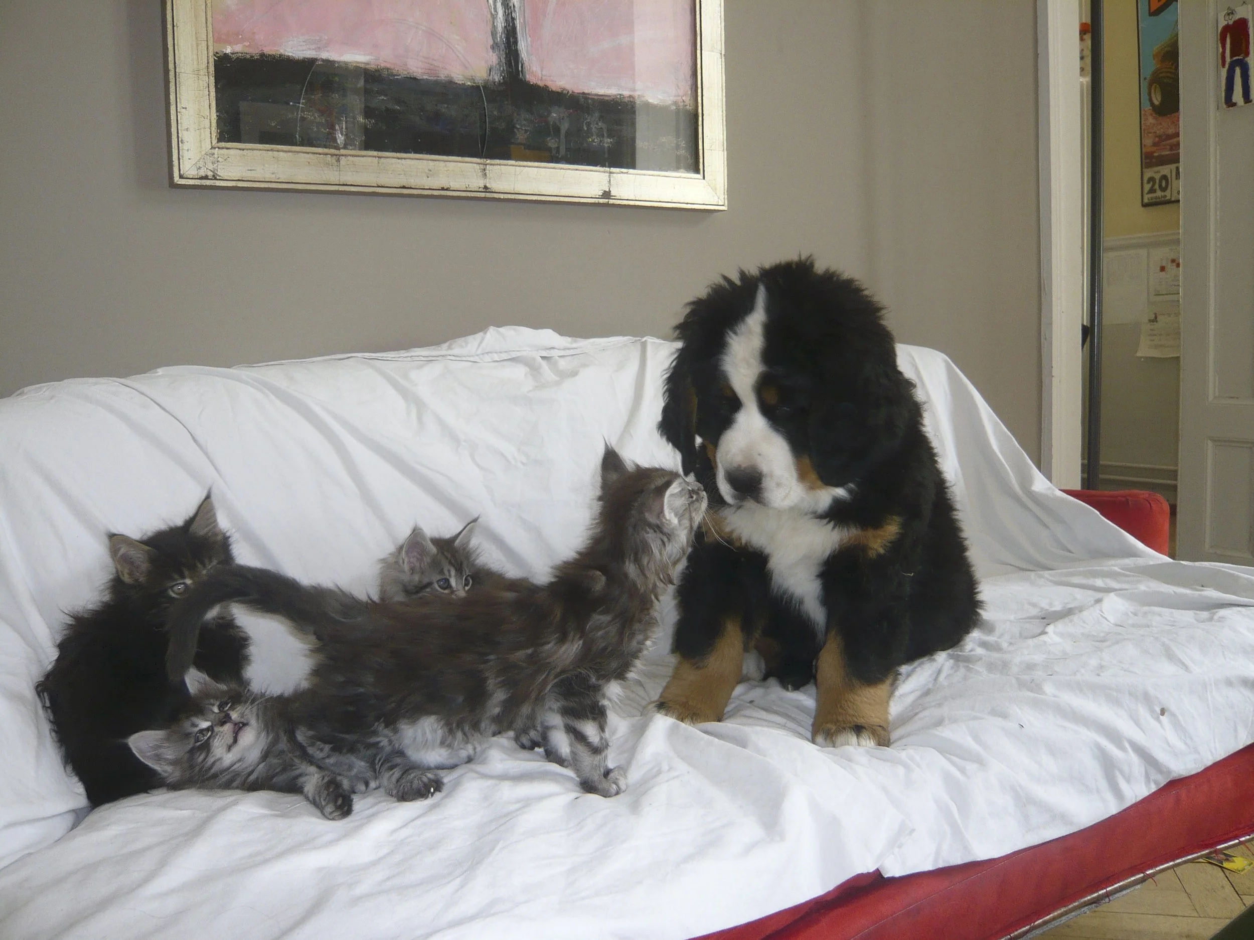 L1050152.jpg