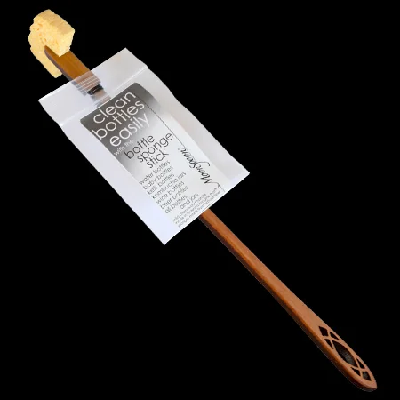 reflecting sponge.jpg