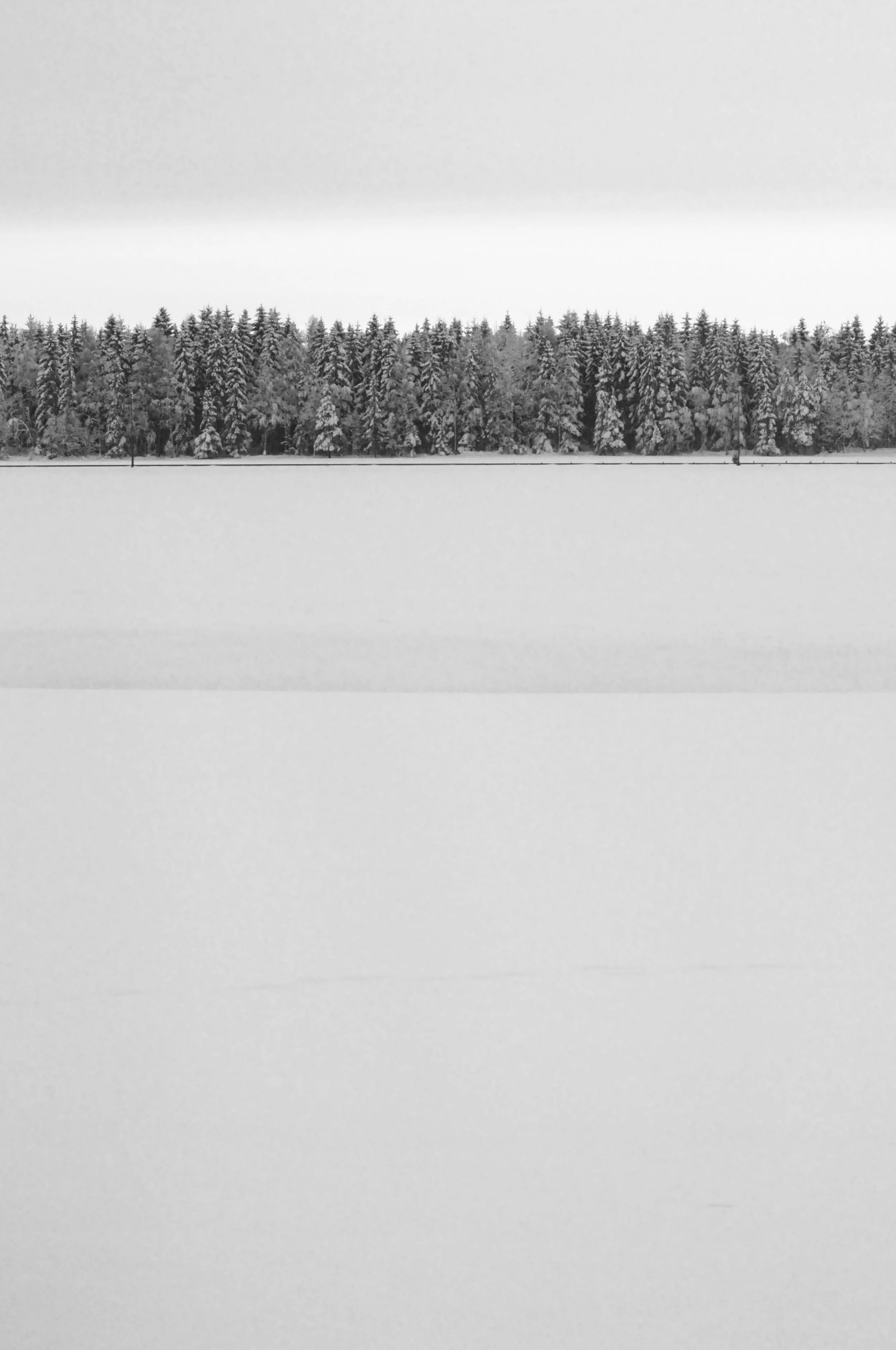 winter.jpg