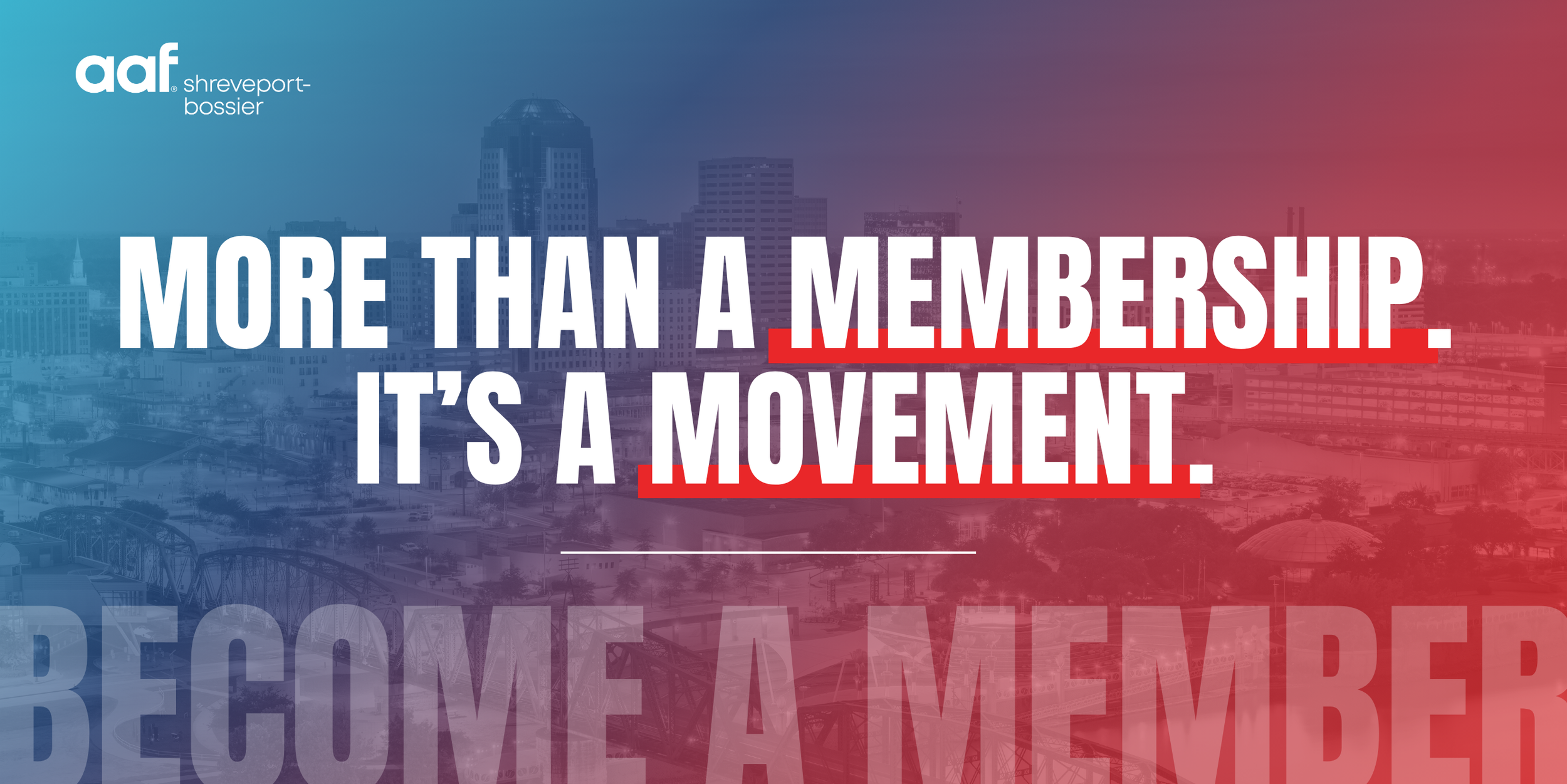 AAFSB Website Banner.png