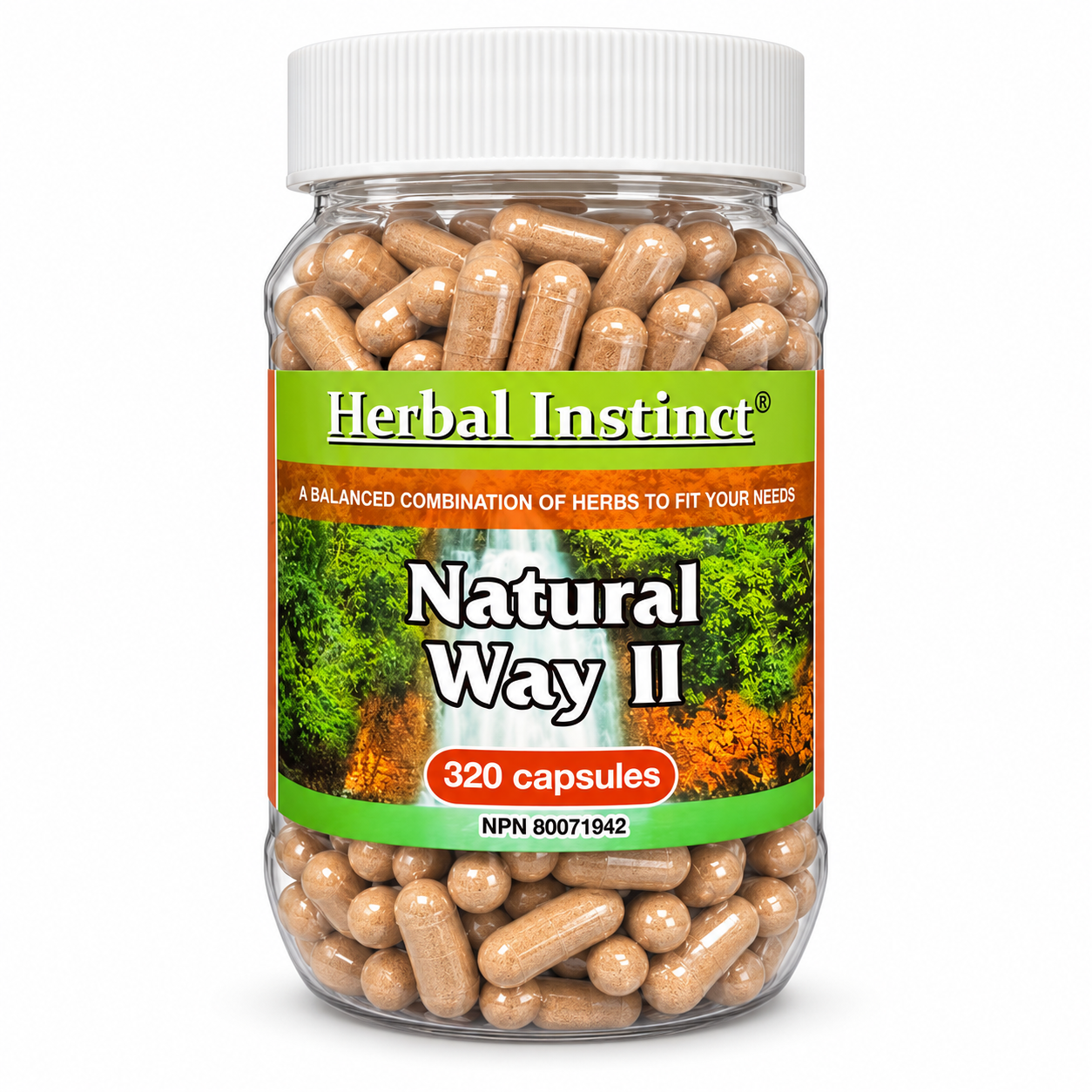 Natural Way II