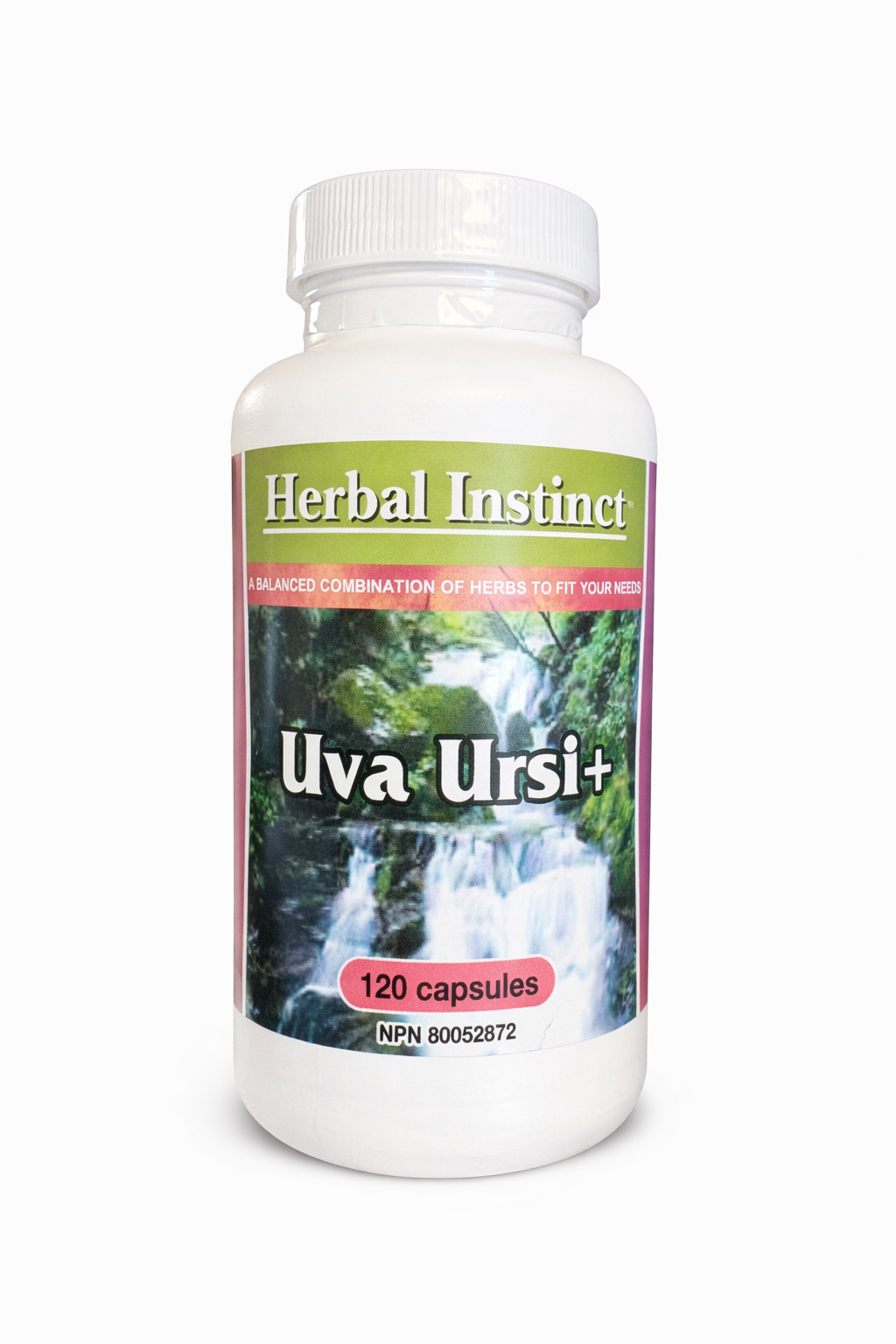 Uva Ursi +