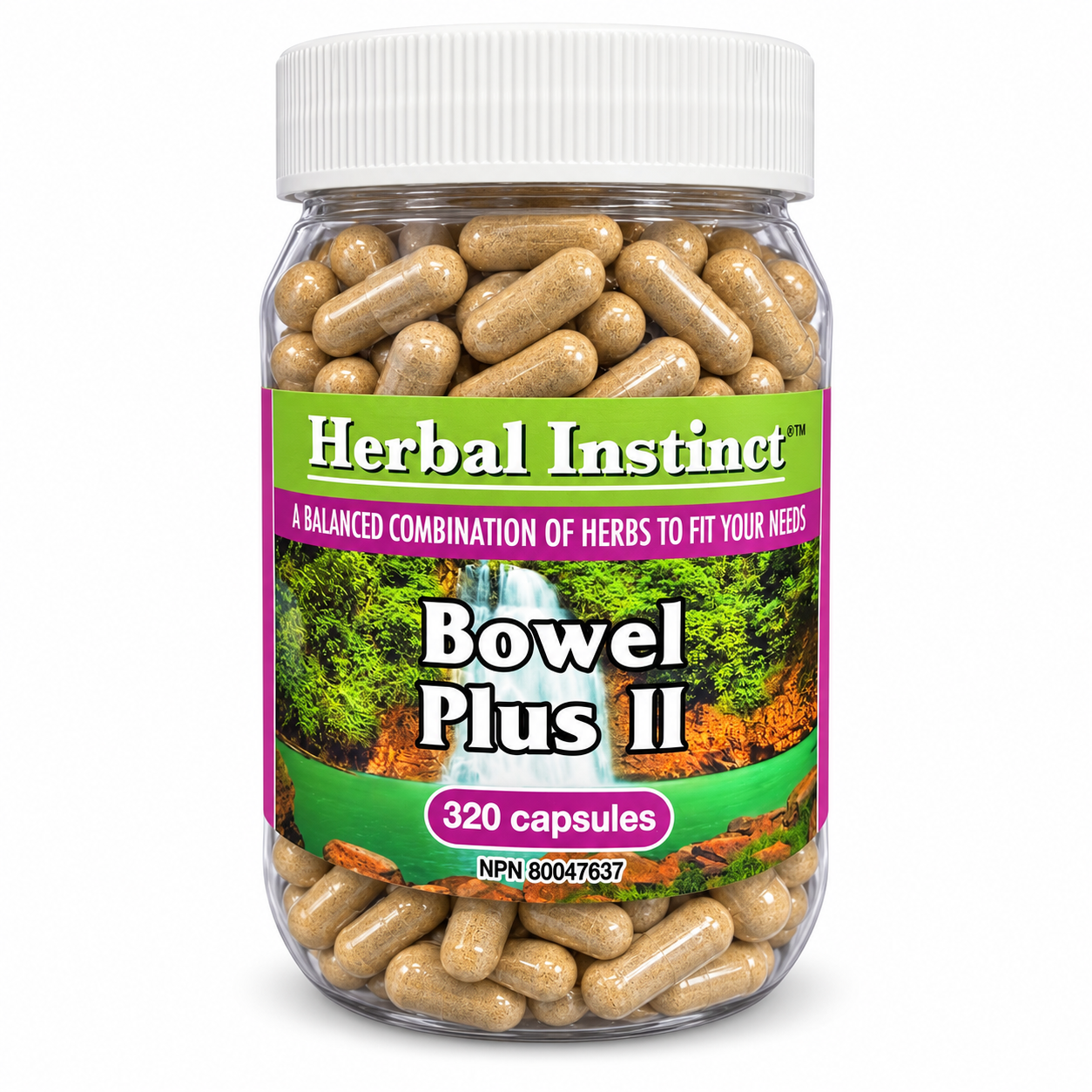 Bowel Plus II