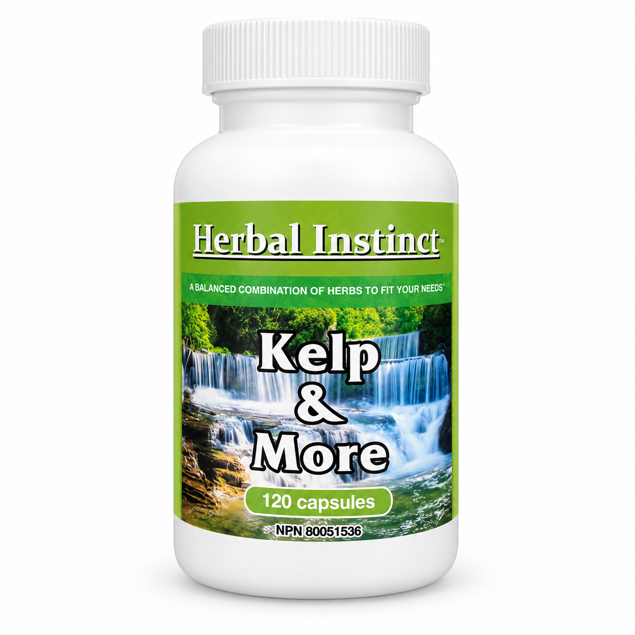 Kelp & More