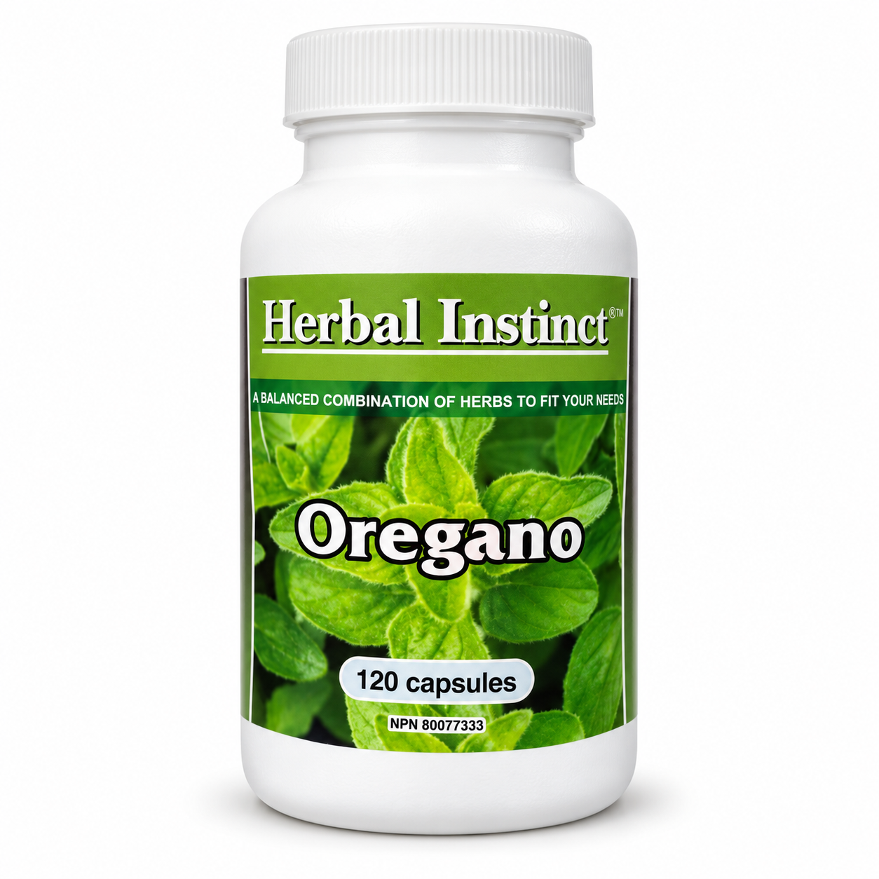 Oregano