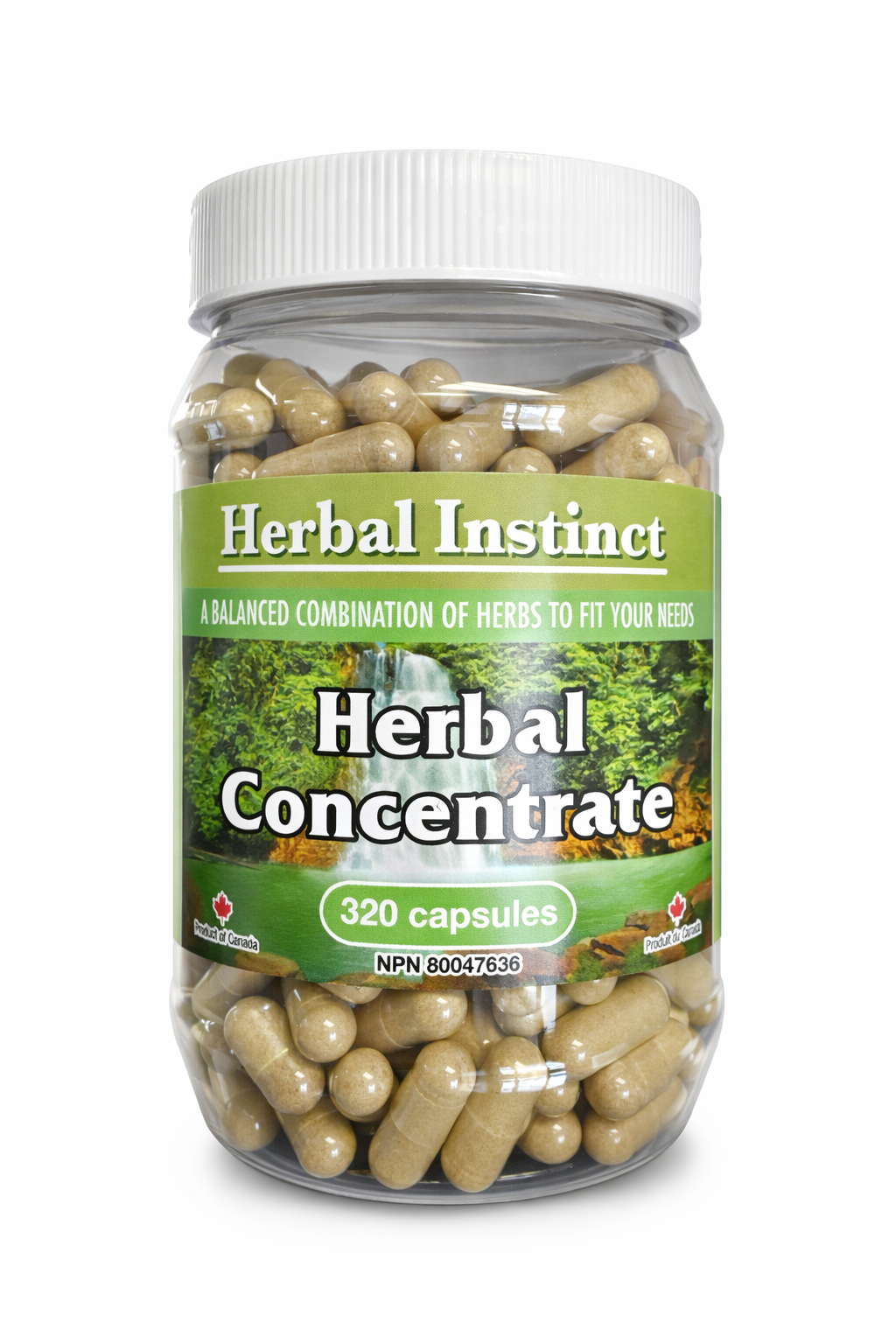 9C49A2A1-6F89-4504-97EC-7AFB8902631E 2.PNG