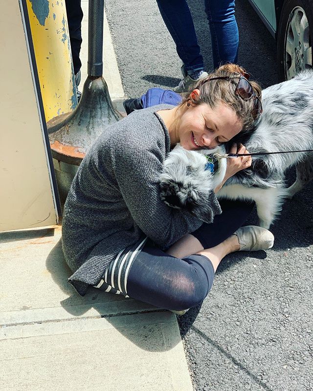 Another installment in “my wife loves dogs” @lilliwosk #dogsofinstagram