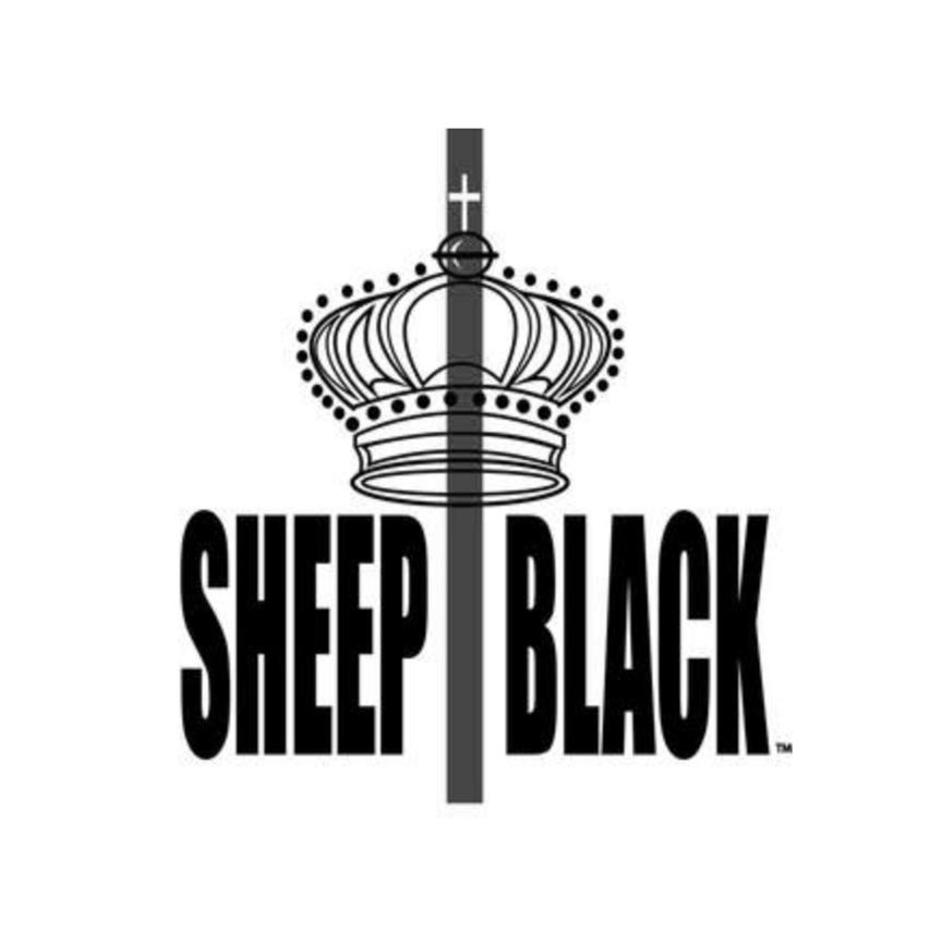 Sheep Black