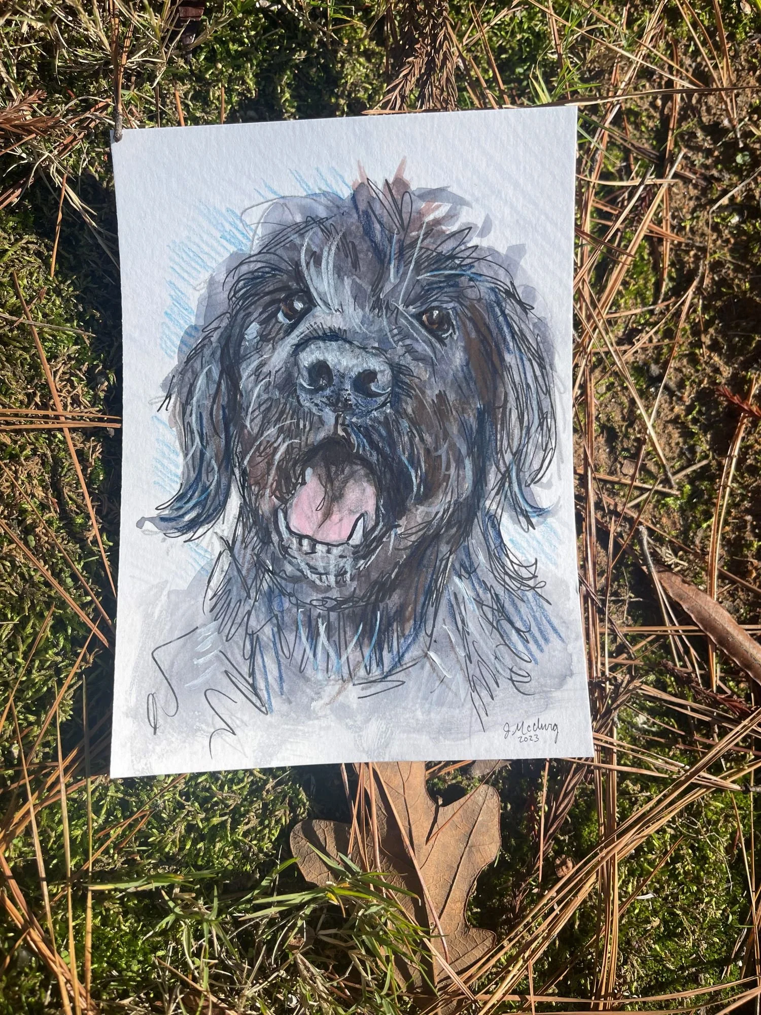 Watercolor Basics: Pet Portraits
