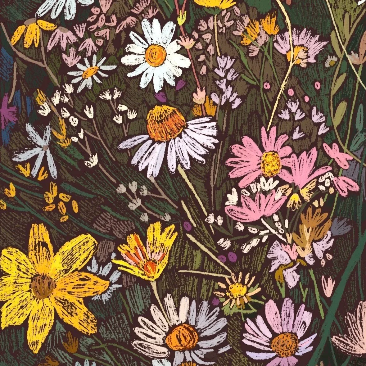 Amy Anderson