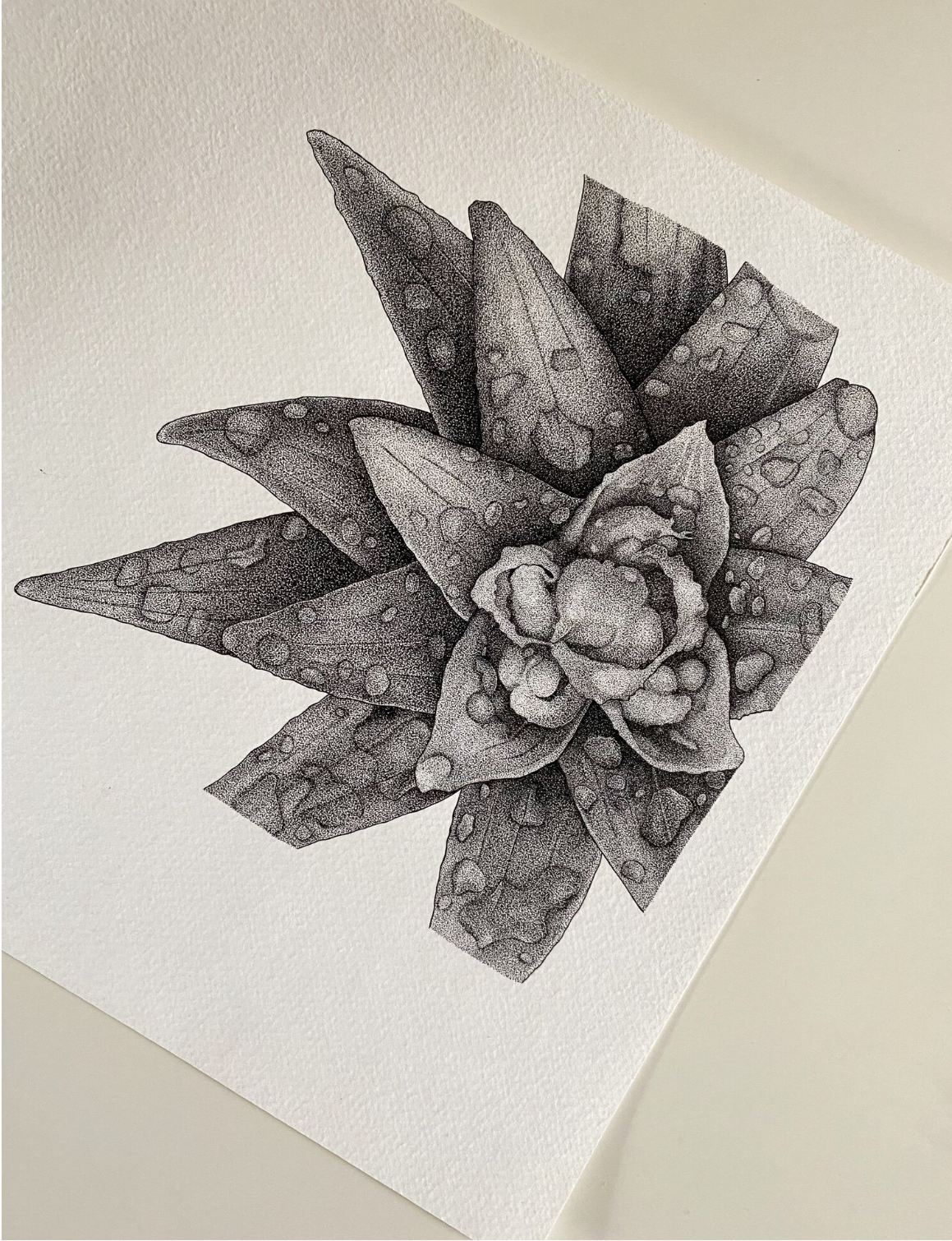 Rebecca Murray Art