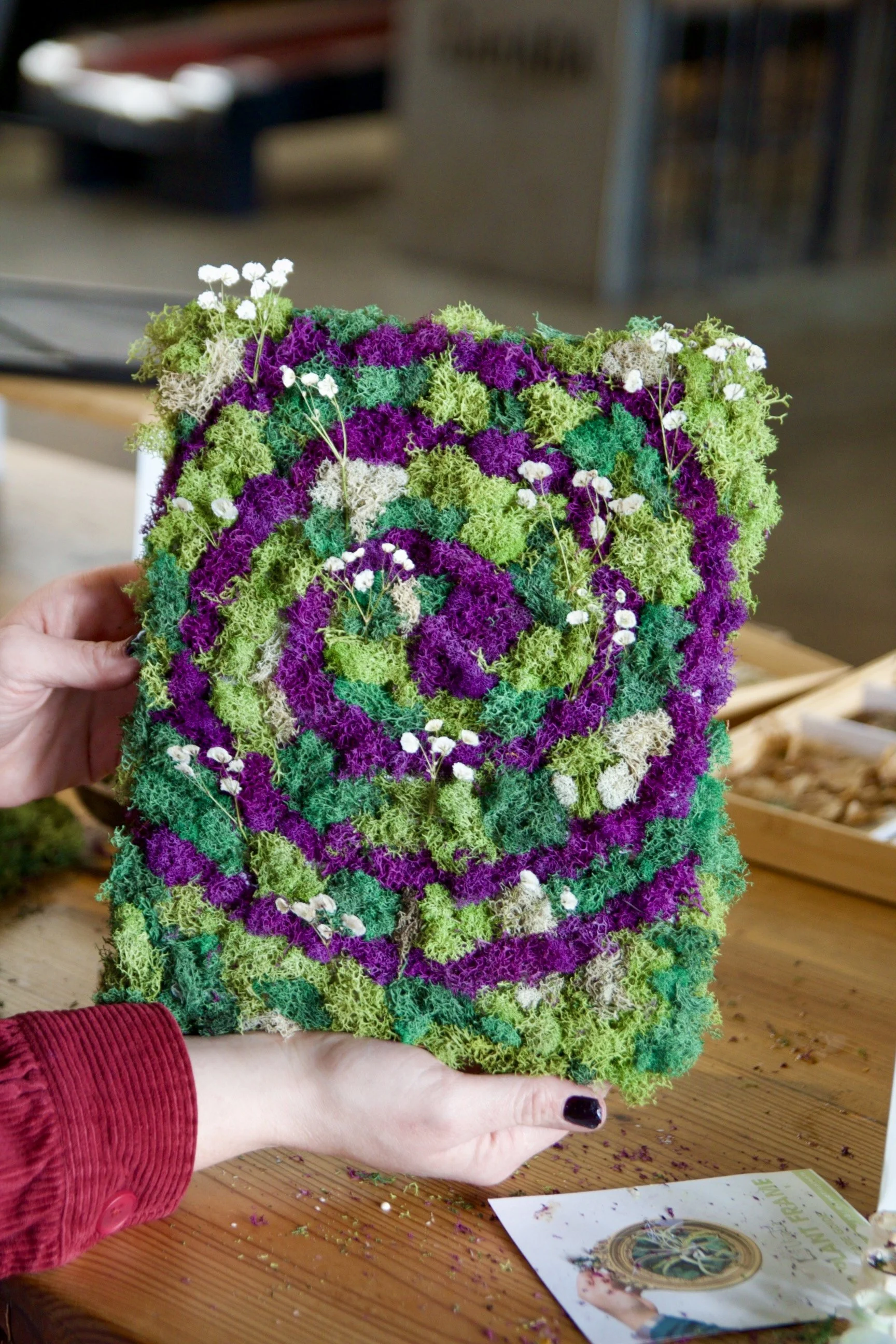 Living Art: Moss &amp; Air Plant Canvas 