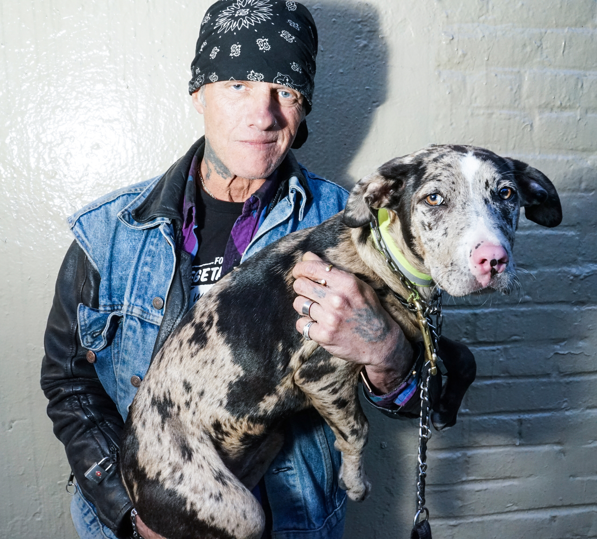 Baron and Jinx; Austin, Texas