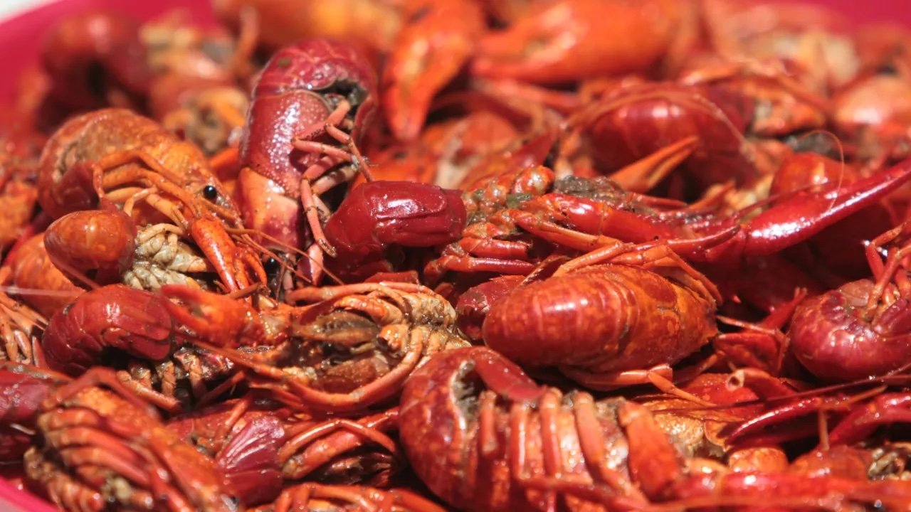 Cold Snap Could Snarl Crawfish Supply, Leading to Higher Prices